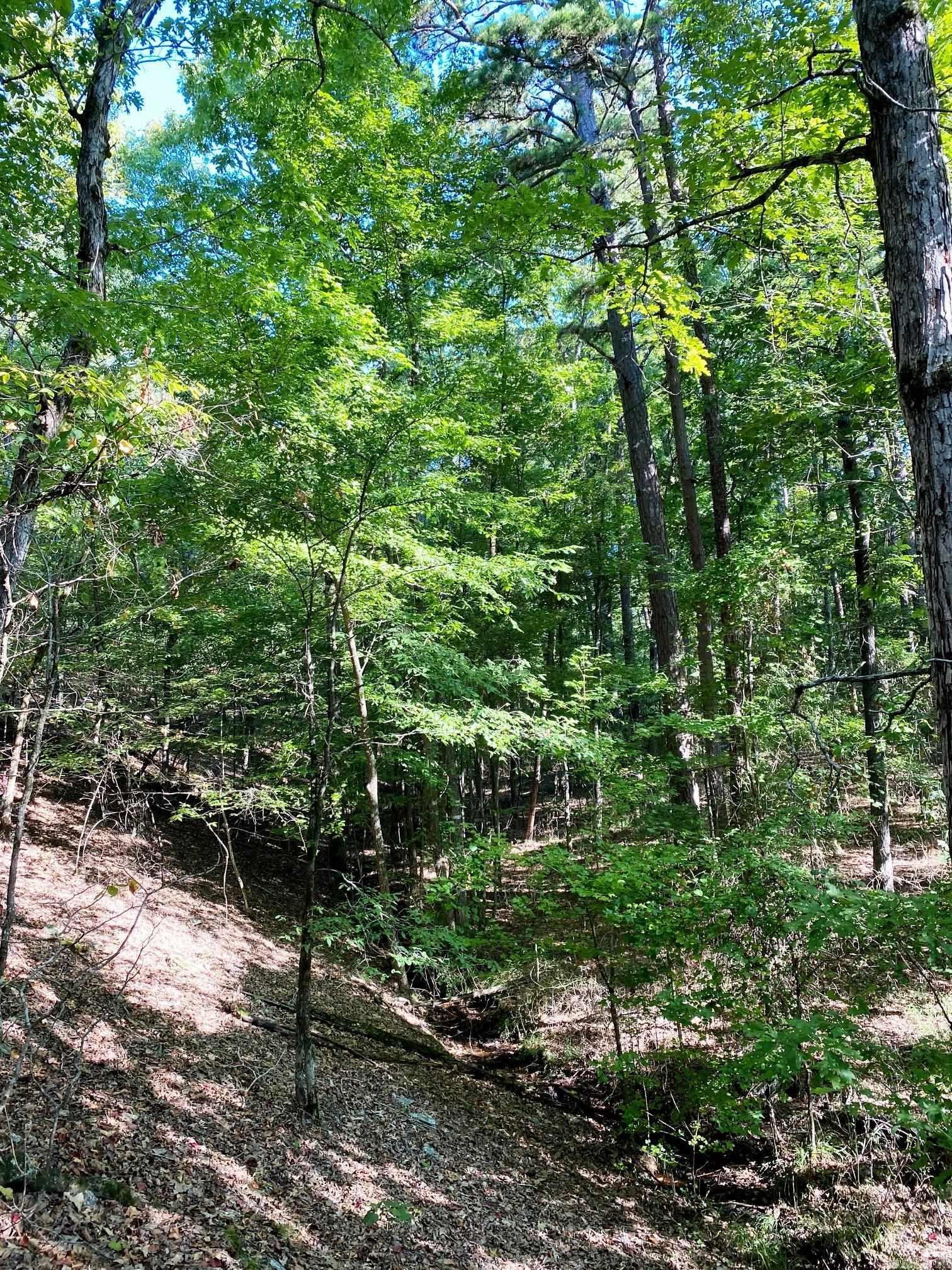 Tbd Foxridge Road Property Photo 9