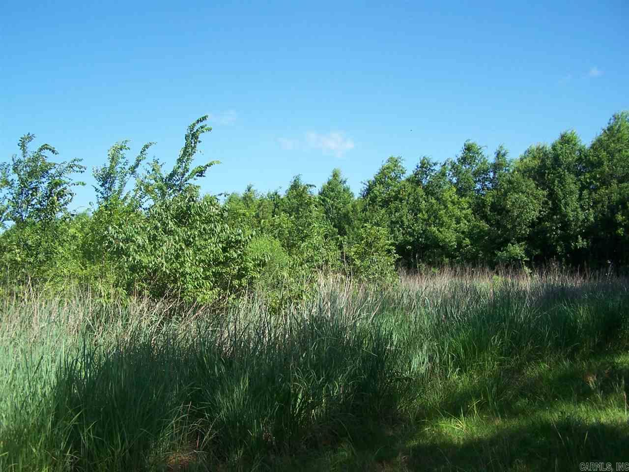 000 Hwy 385 S. Property Photo 7