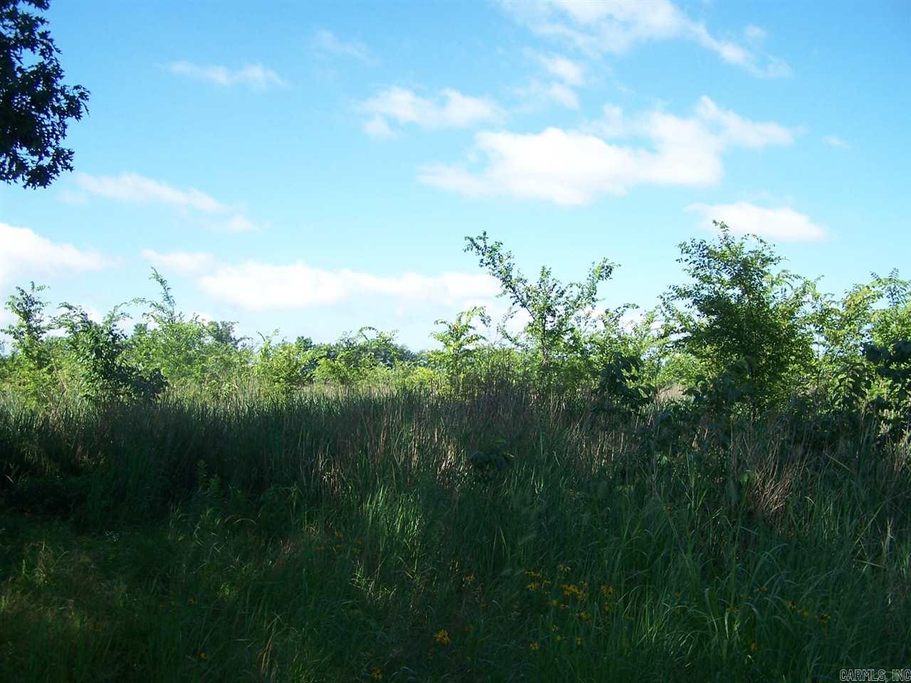 000 Hwy 385 S. Property Photo 9
