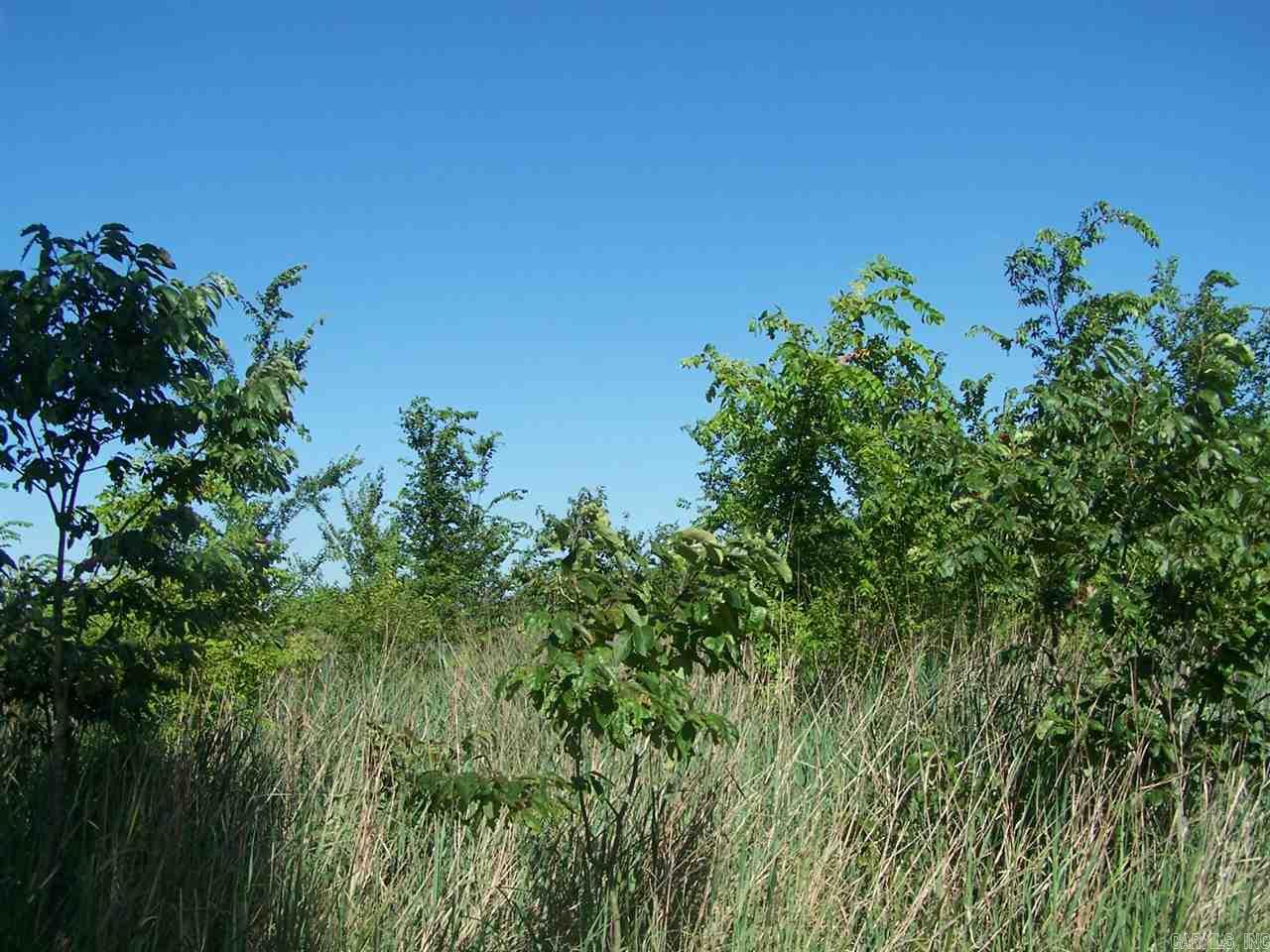 000 Hwy 385 S. Property Photo 10