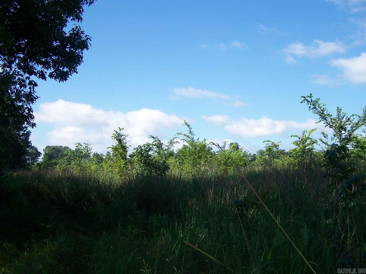 000 Hwy 385 S. Property Photo 11
