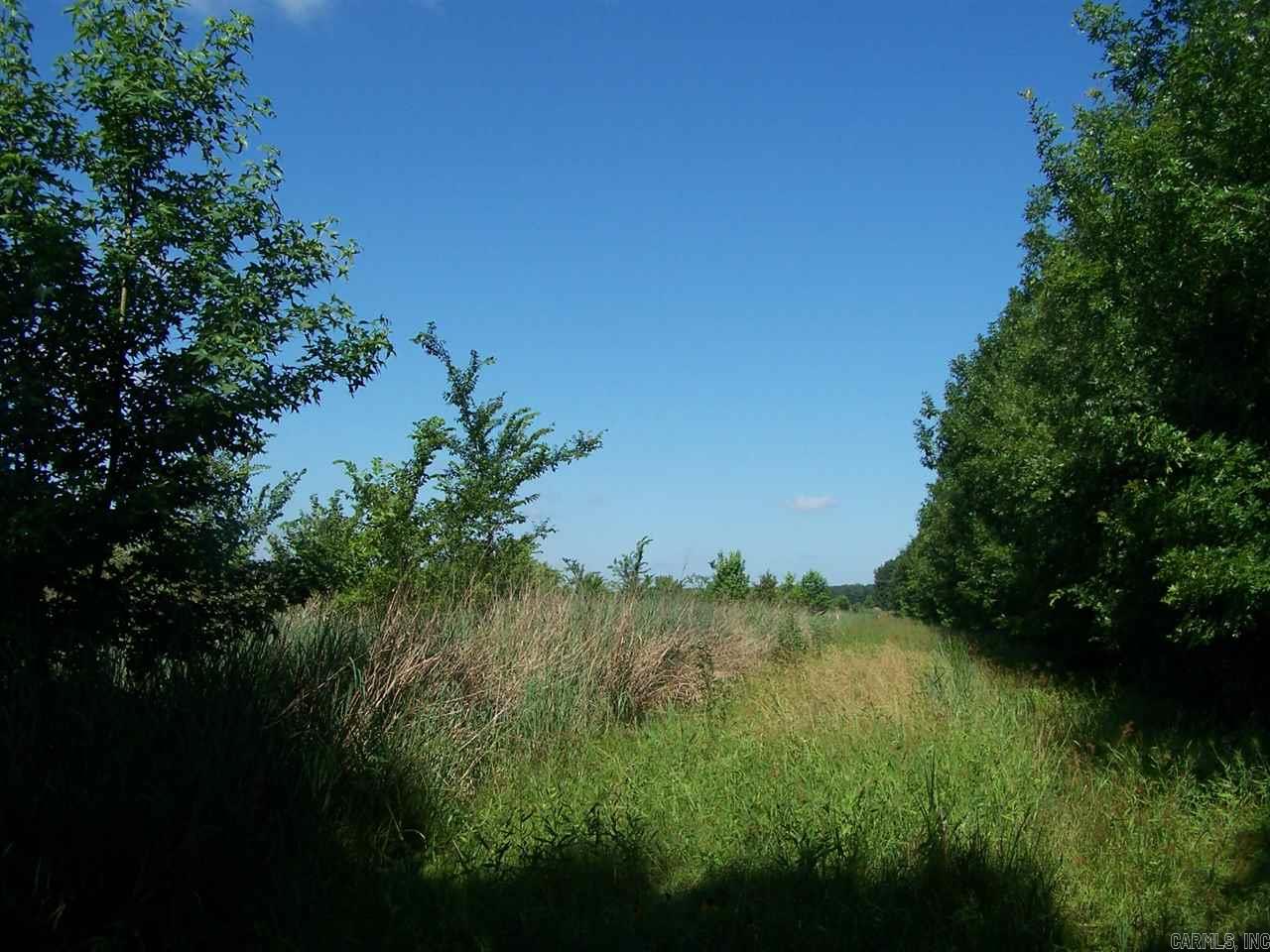 000 Hwy 385 S. Property Photo 13