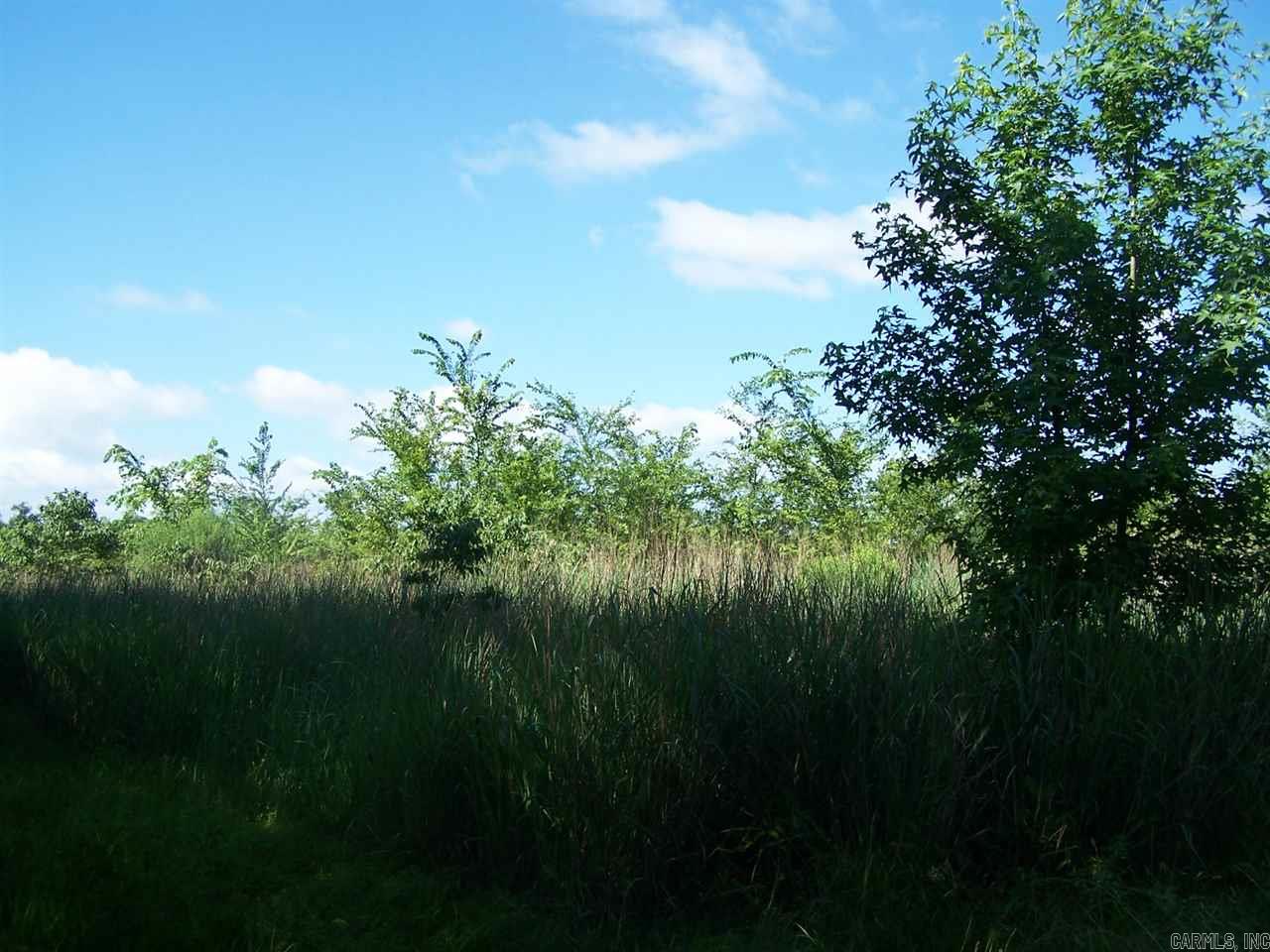 000 Hwy 385 S. Property Photo 14