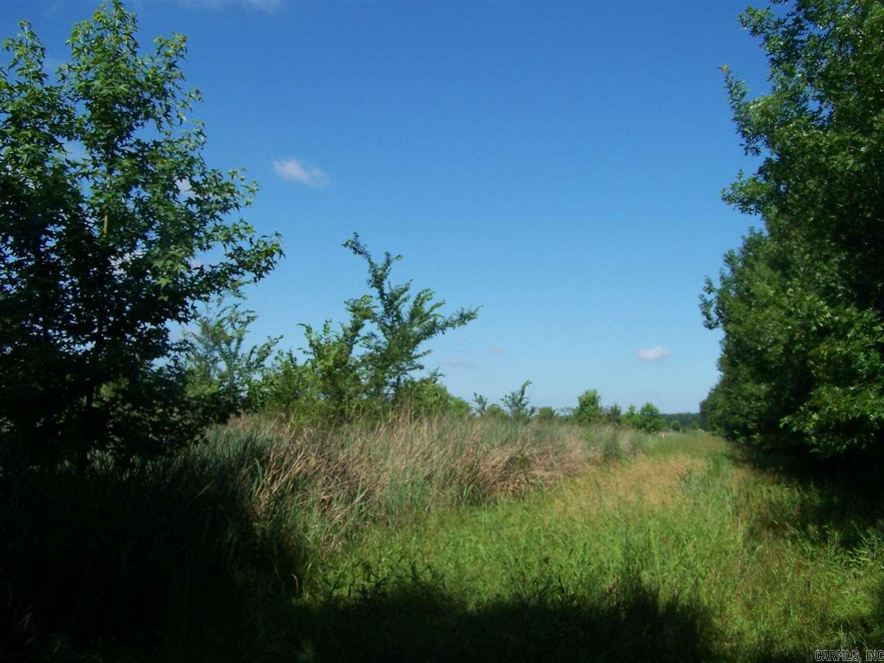 000 Hwy 385 S. Property Photo 15