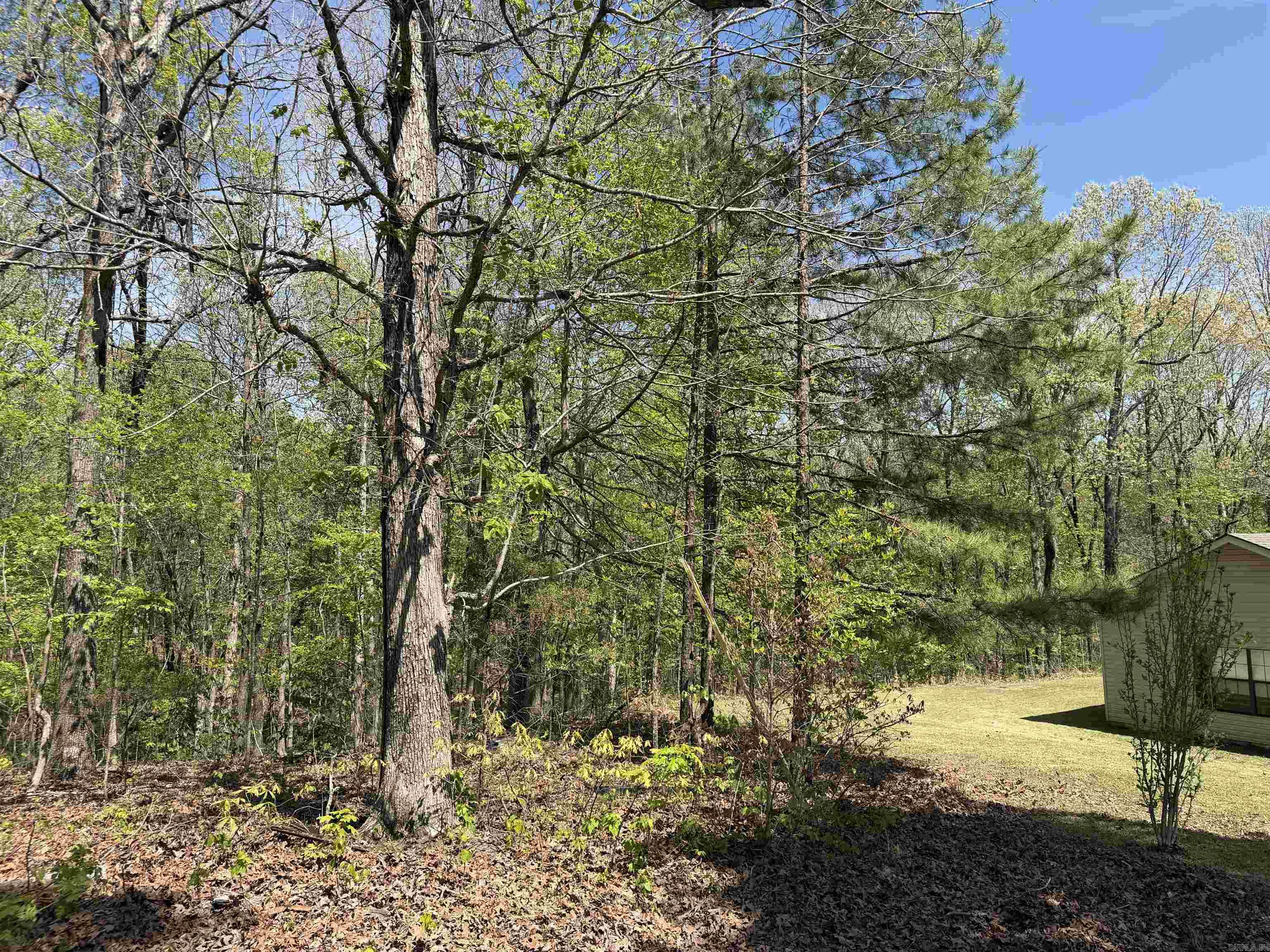 3784 Greene 707 Road Property Photo 40