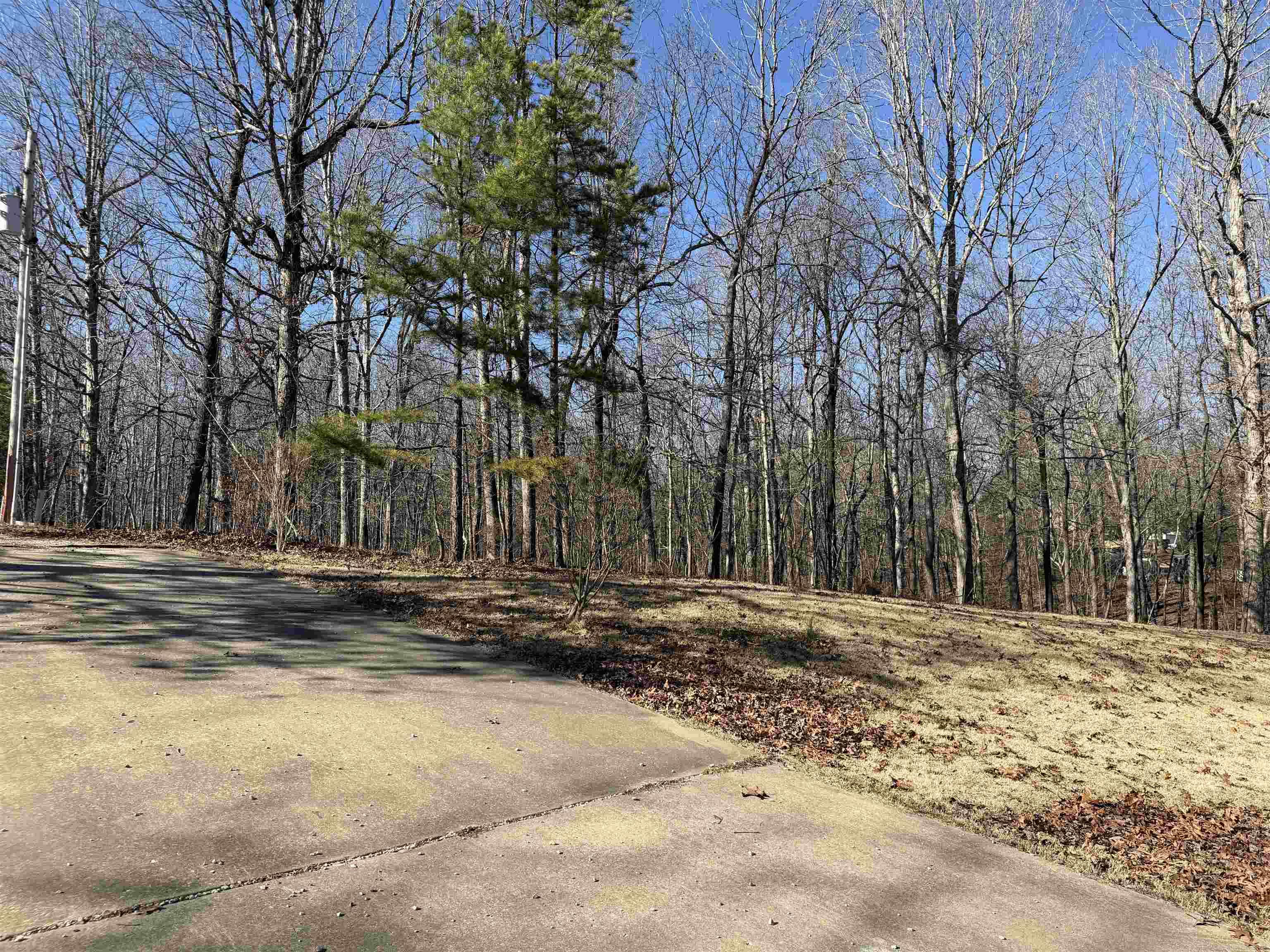 3784 Greene 707 Road Property Photo 45