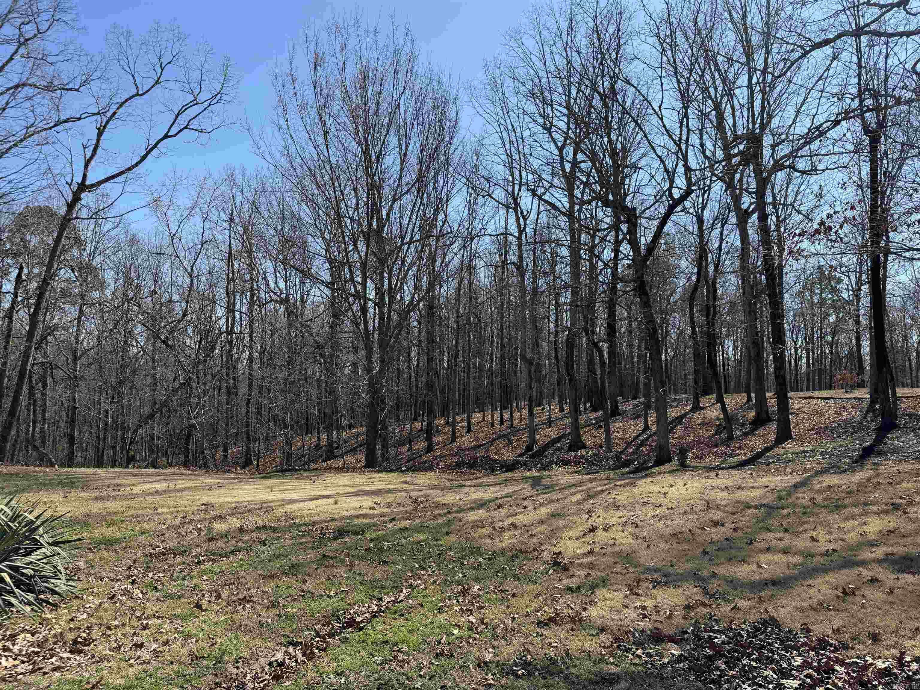 3784 Greene 707 Road Property Photo 46