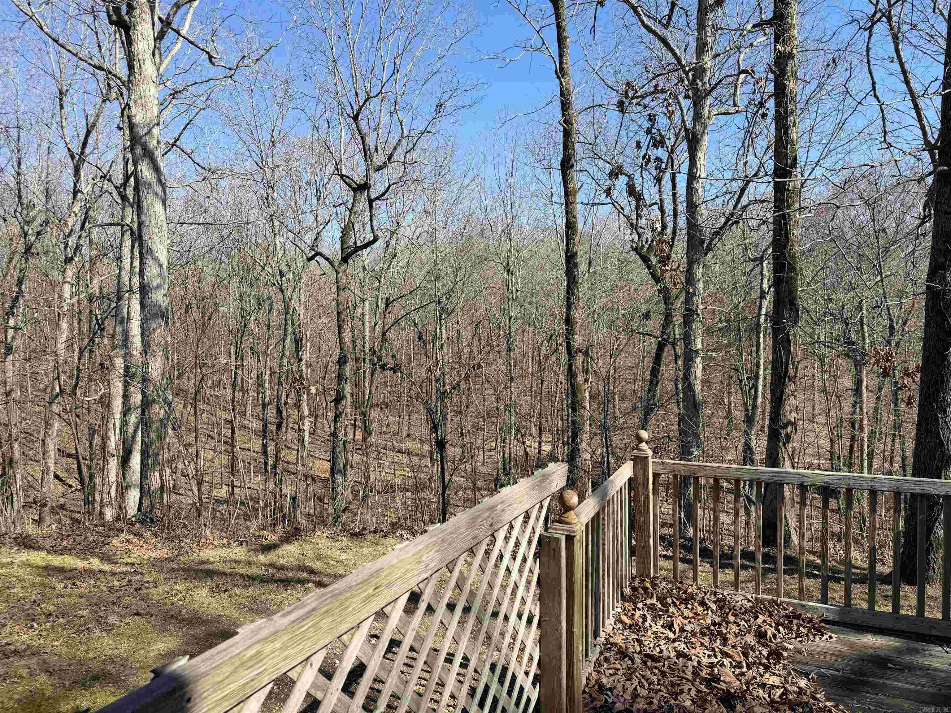 3784 Greene 707 Road Property Photo 47
