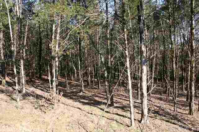 3825 Donnell Ridge Road Property Photo 8