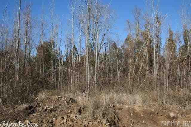 3825 Donnell Ridge Road Property Photo 12