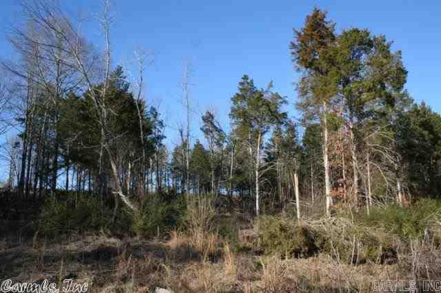 3825 Donnell Ridge Road Property Photo 20