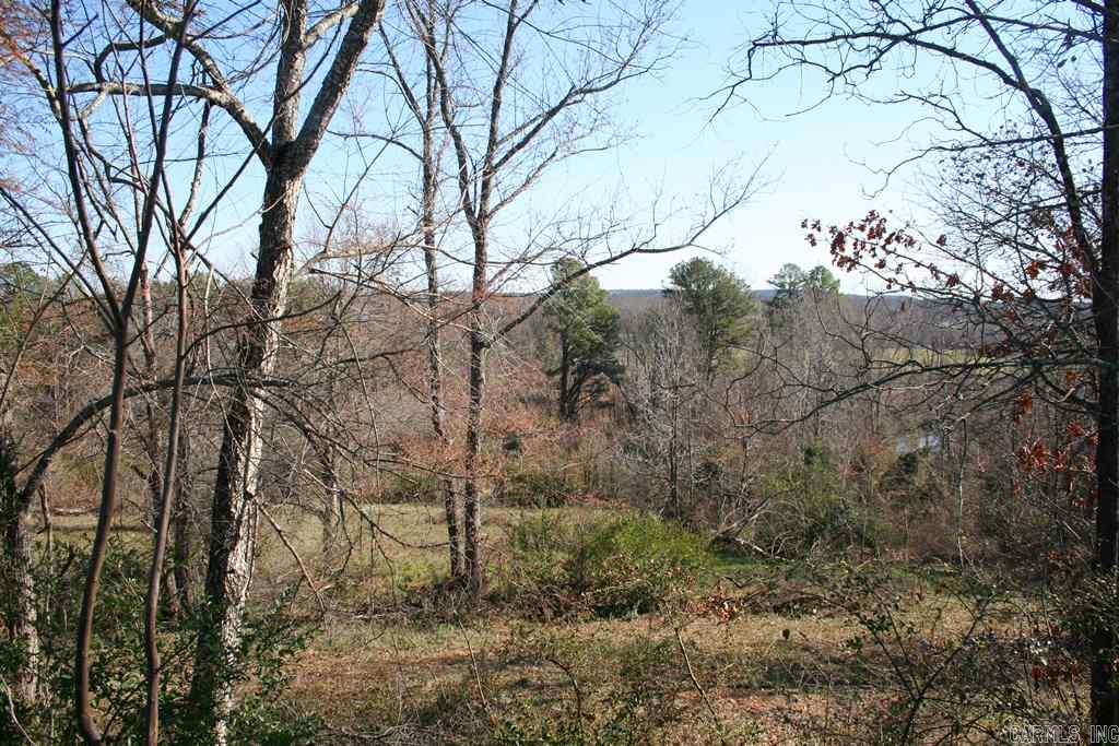 3765 Donnell Ridge Road Property Photo 18