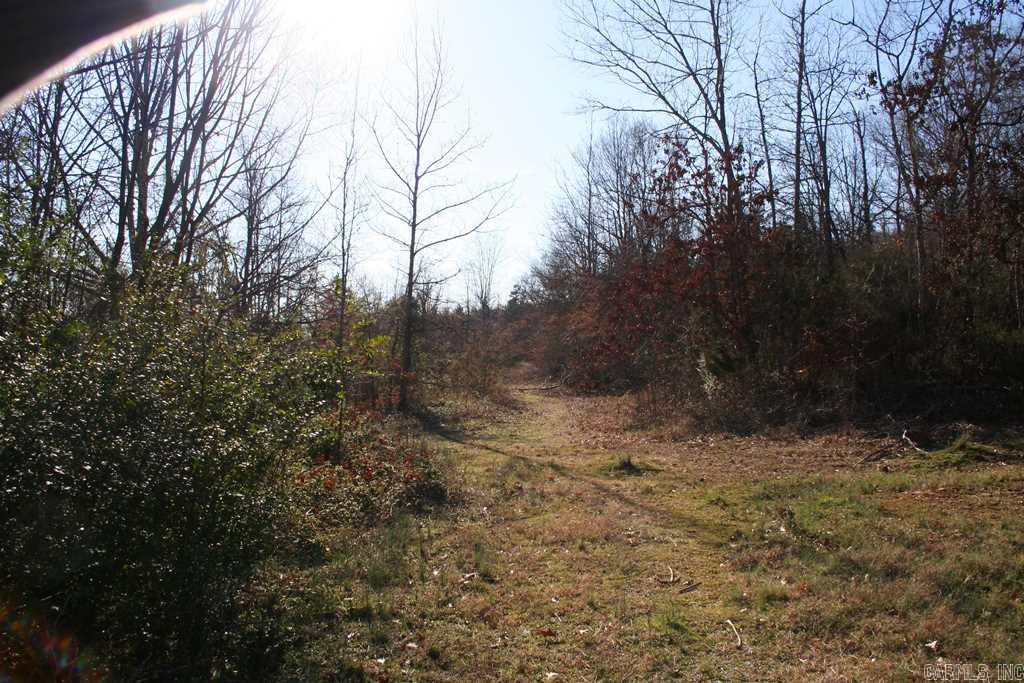 3765 Donnell Ridge Road Property Photo 27