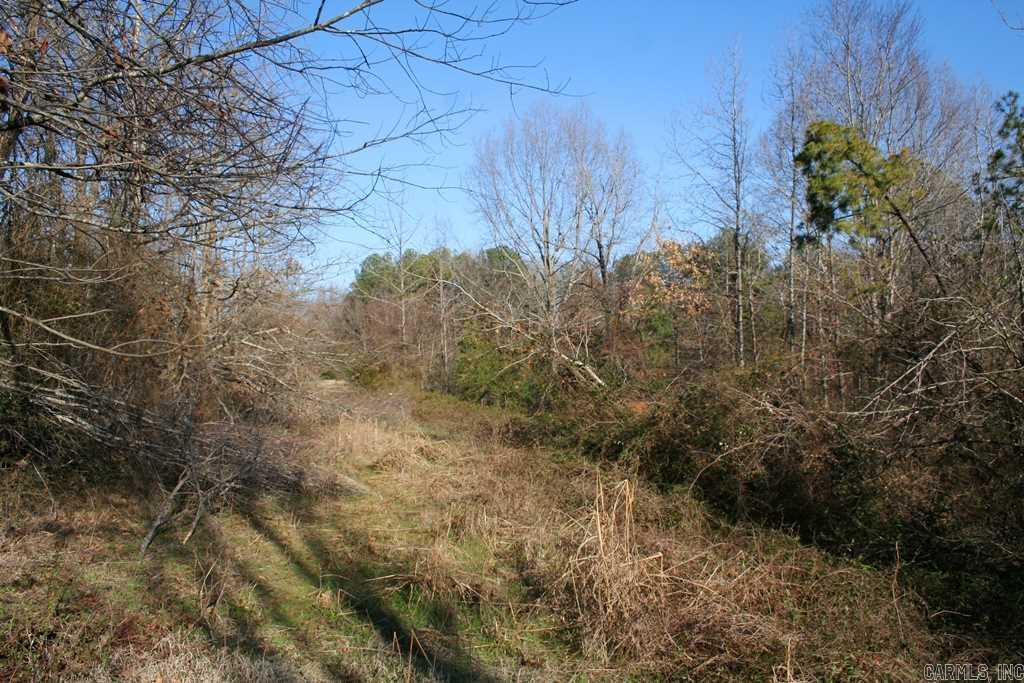3765 Donnell Ridge Road Property Photo 31