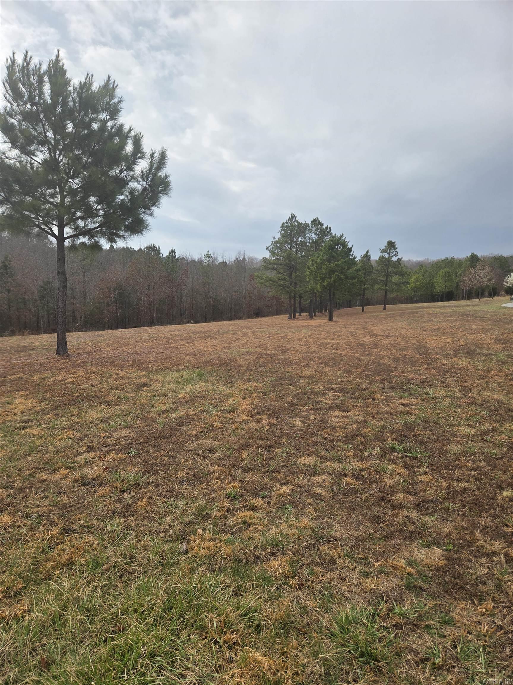 000 Tournament Drive Property Photo 3