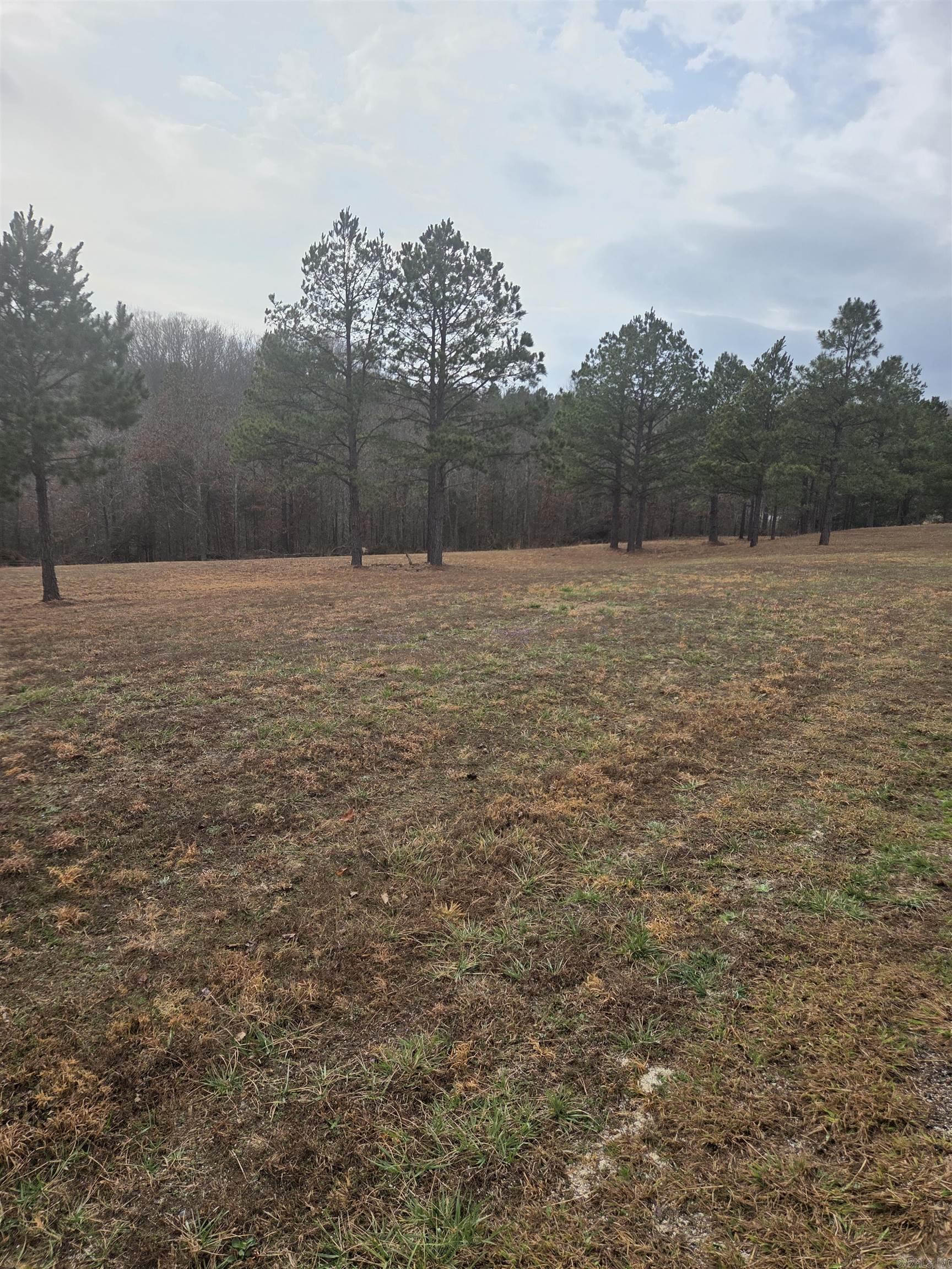 000 Tournament Drive Property Photo 4