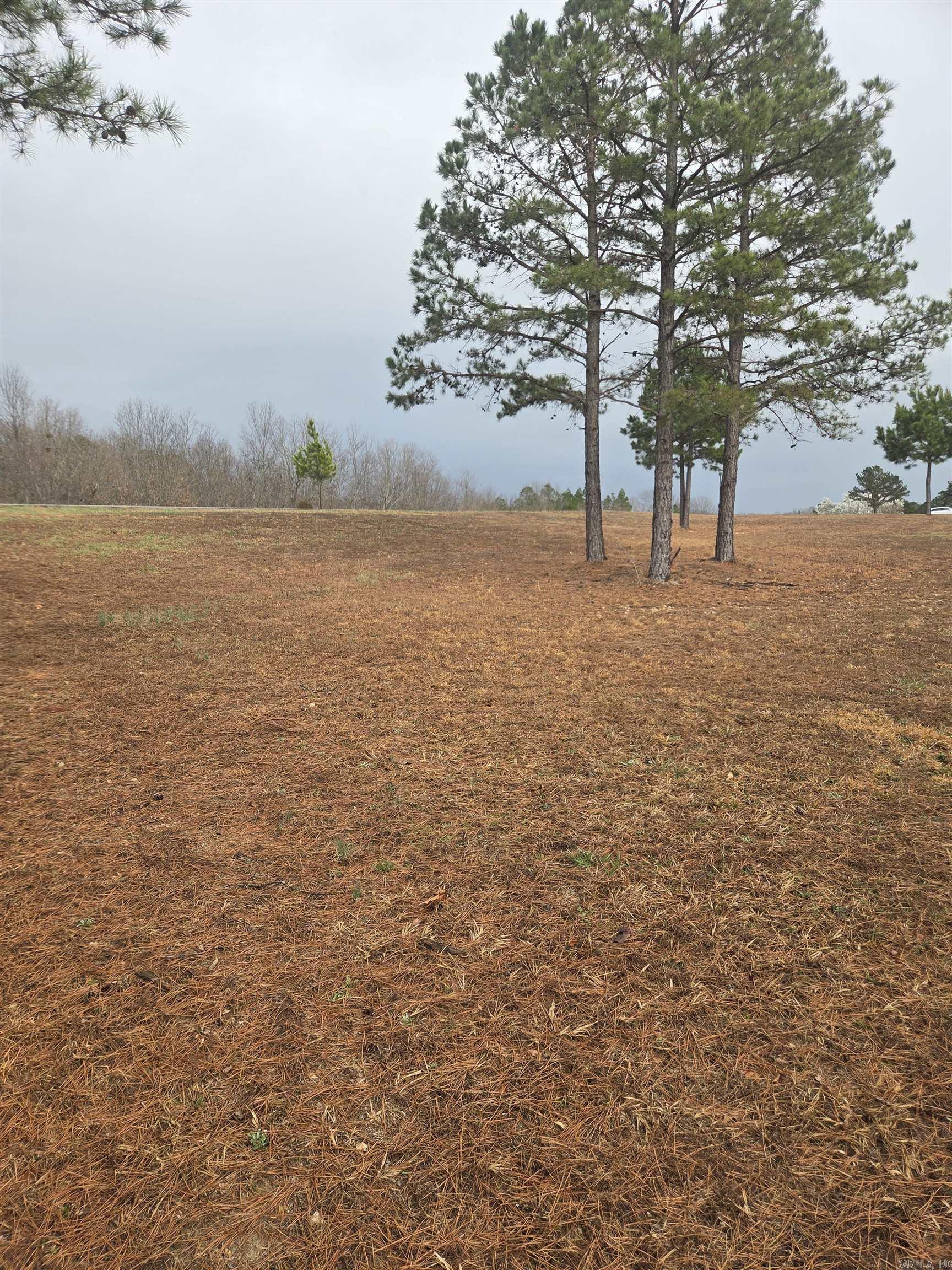 000 Tournament Drive Property Photo 5