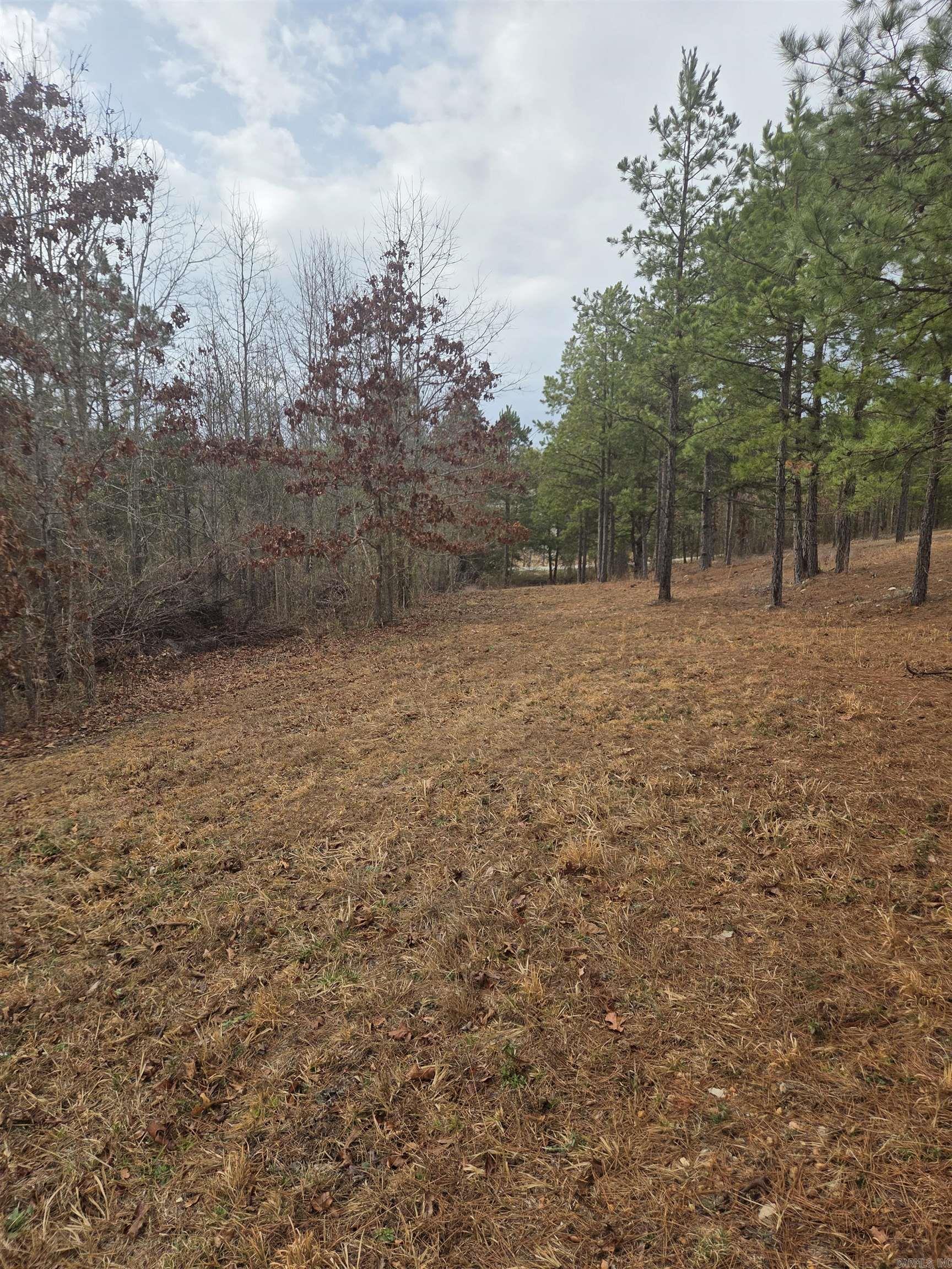 000 Tournament Drive Property Photo 6