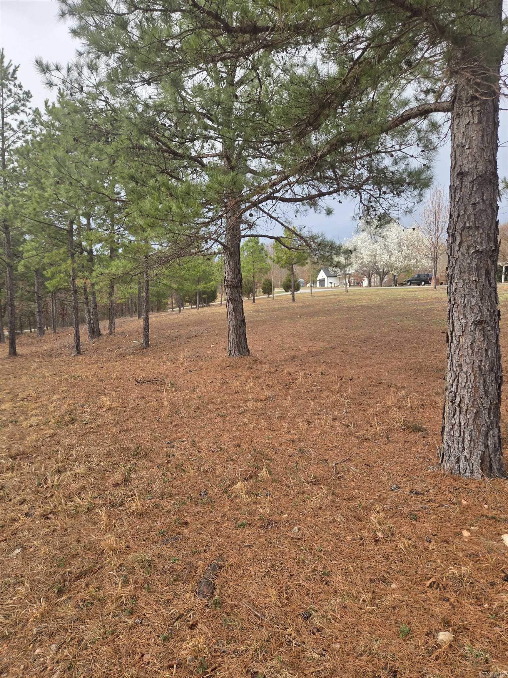 000 Tournament Drive Property Photo 7