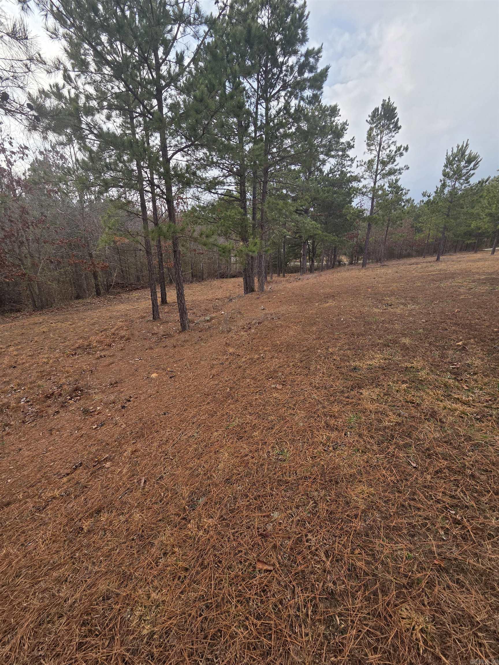 000 Tournament Drive Property Photo 8