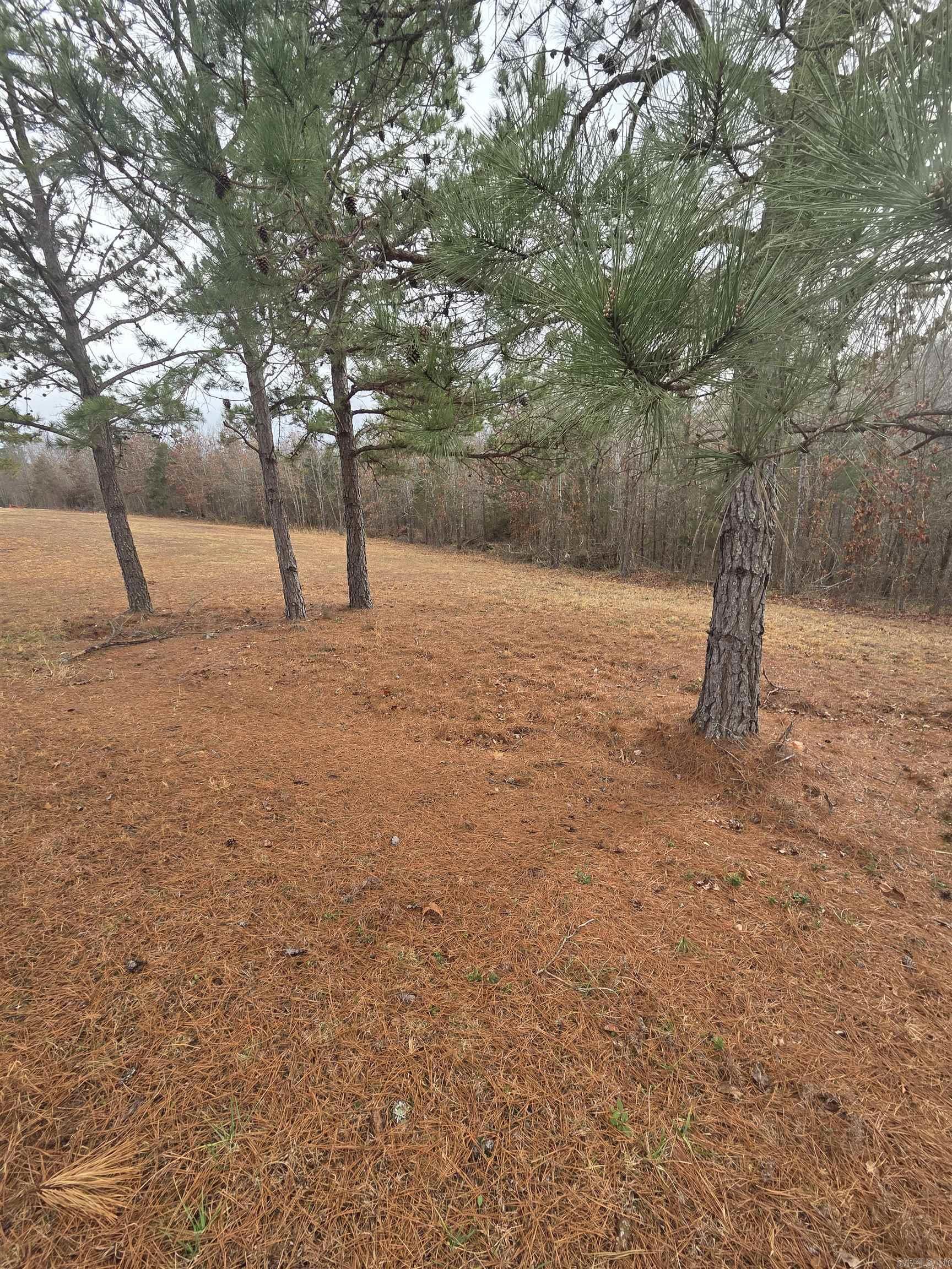 000 Tournament Drive Property Photo 9