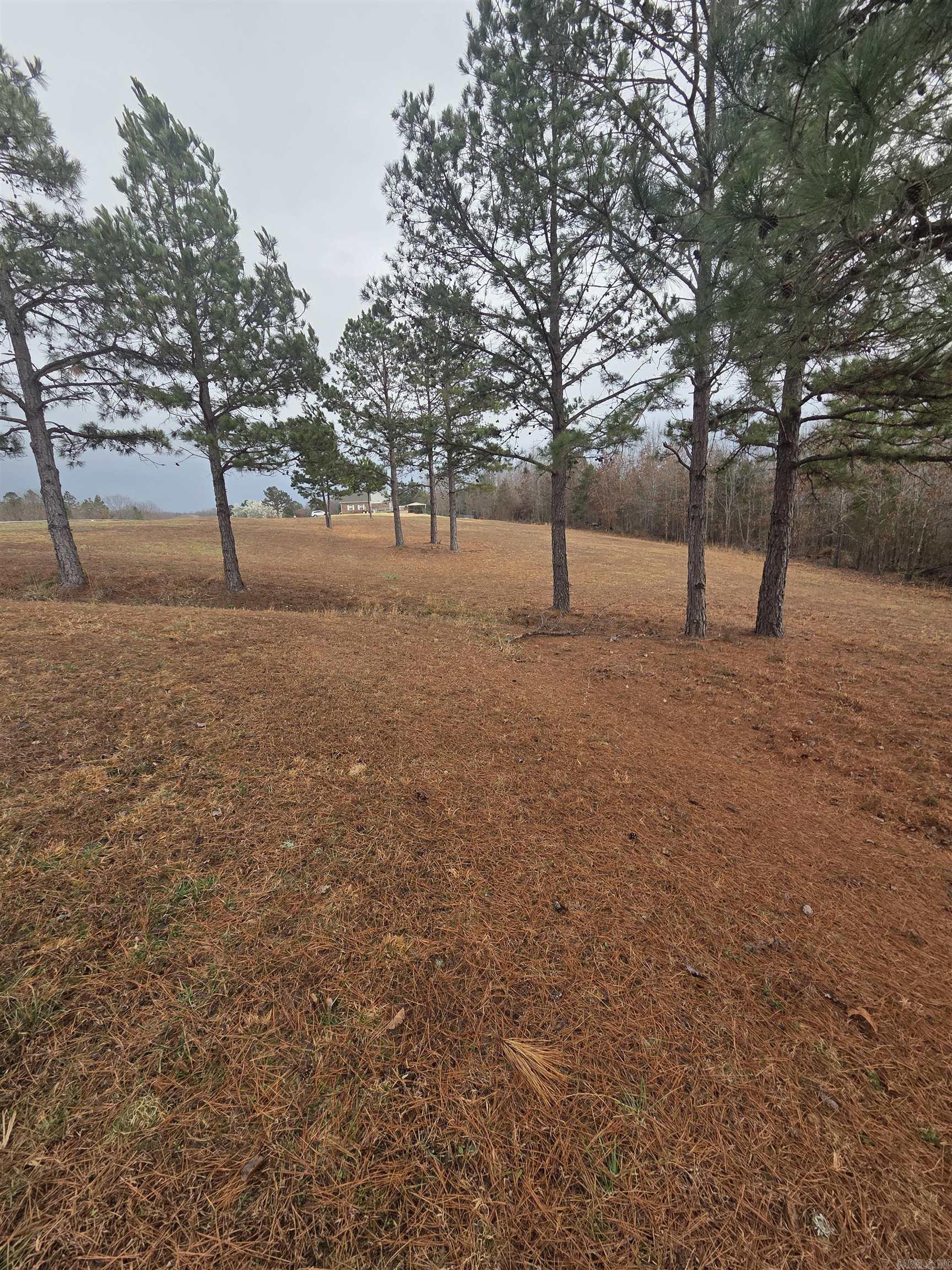 000 Tournament Drive Property Photo 10