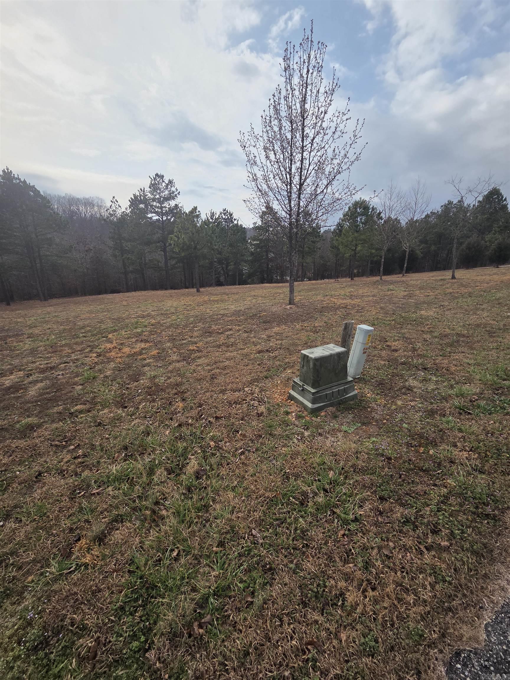 000 Tournament Drive Property Photo 11