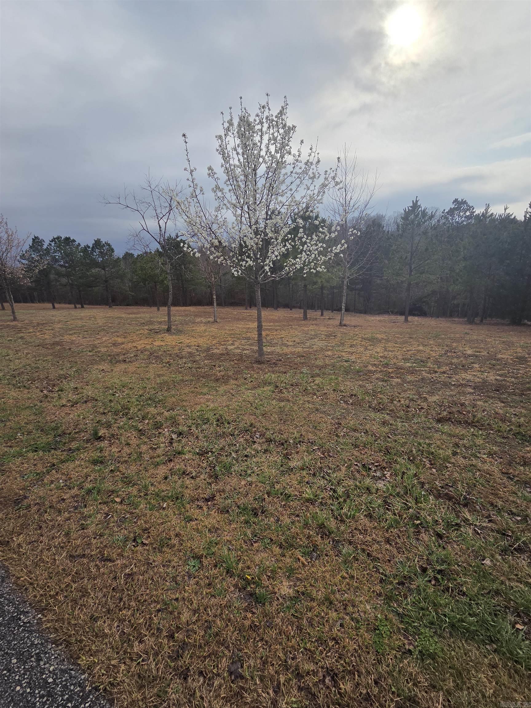 000 Tournament Drive Property Photo 12