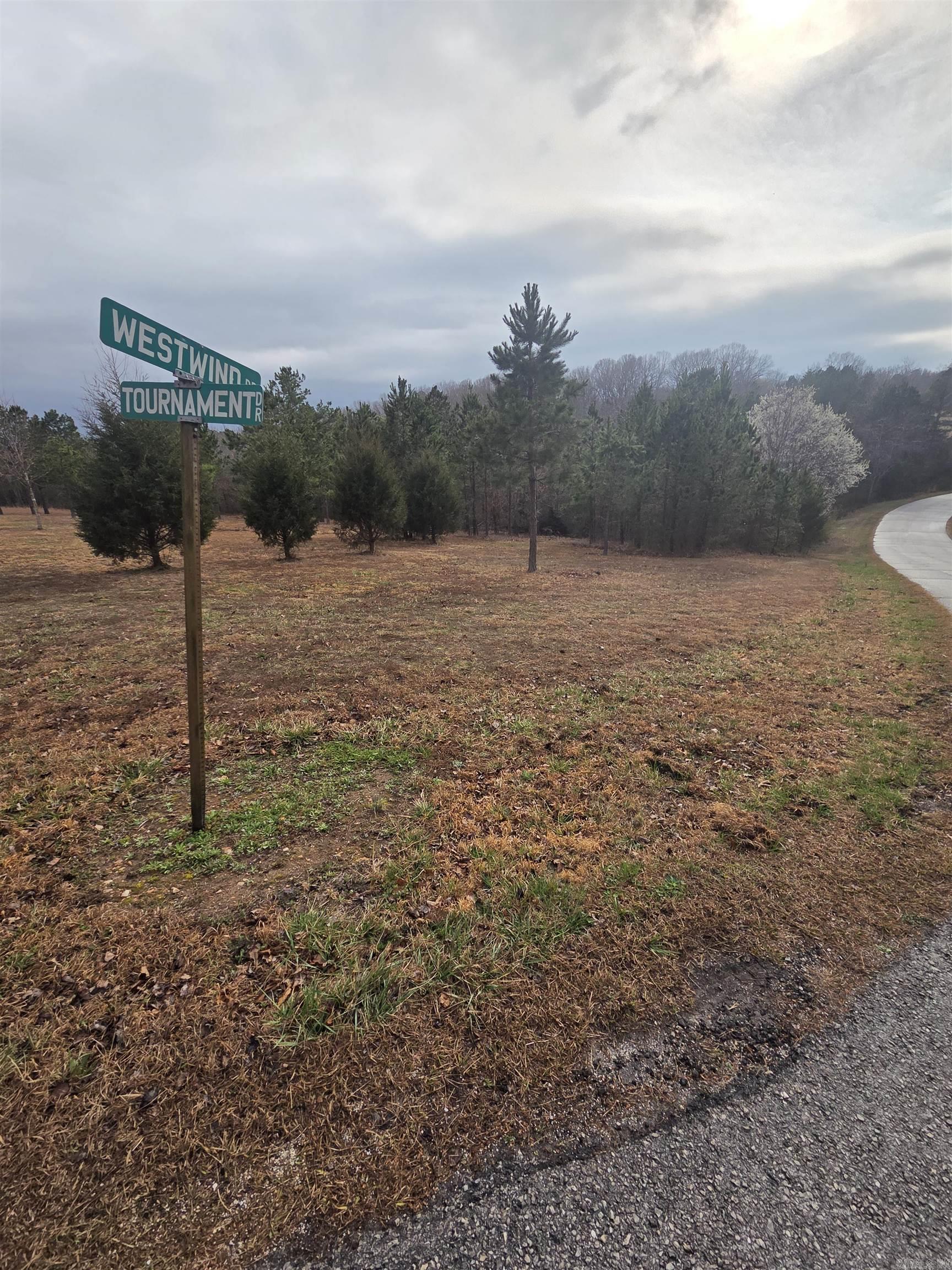 000 Tournament Drive Property Photo 13