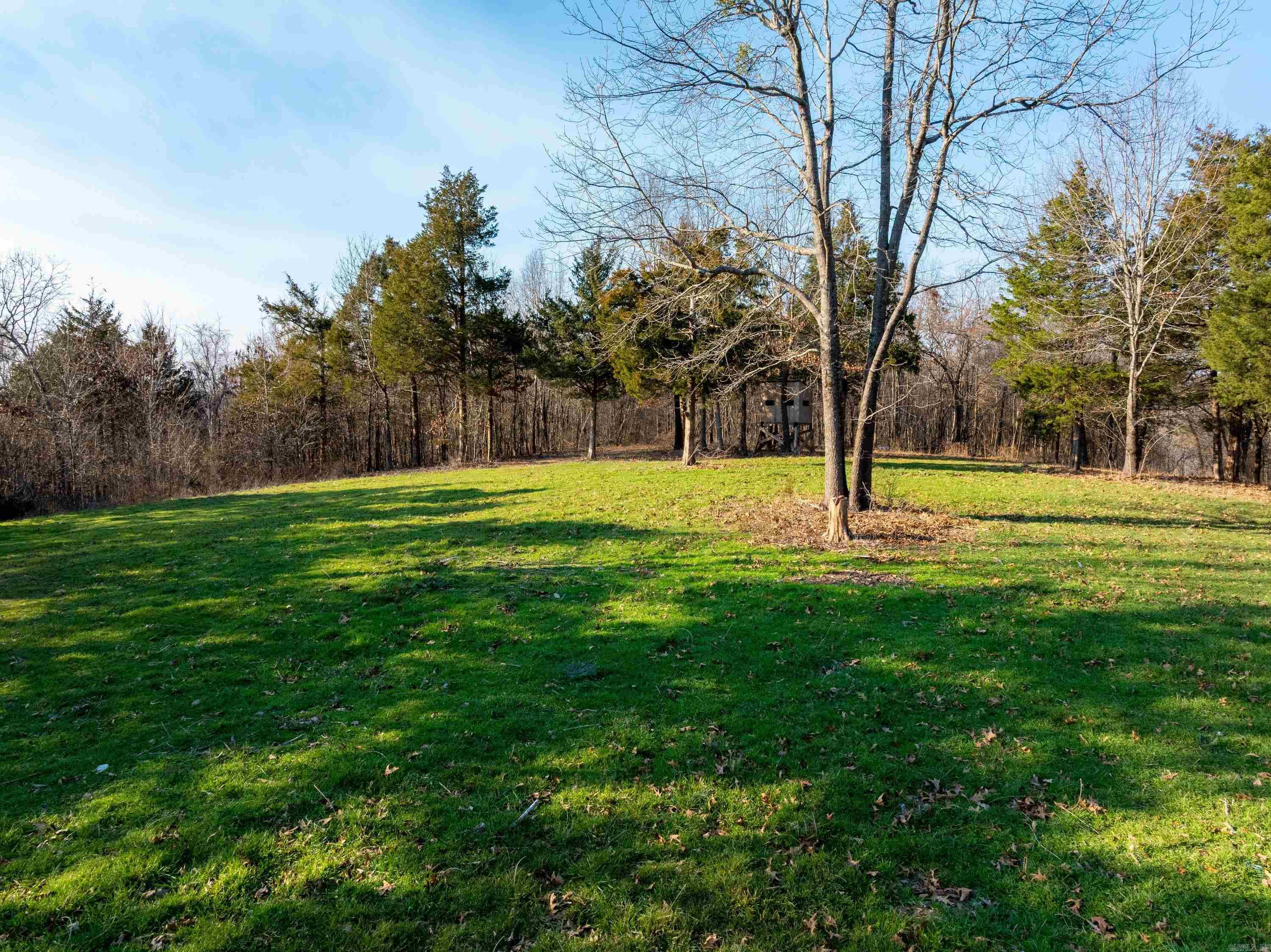 Collistown Rd Property Photo 8