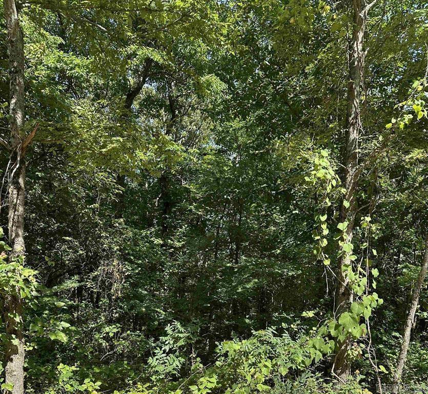 3.5 Acres Heber Springs Road Property Photo 1
