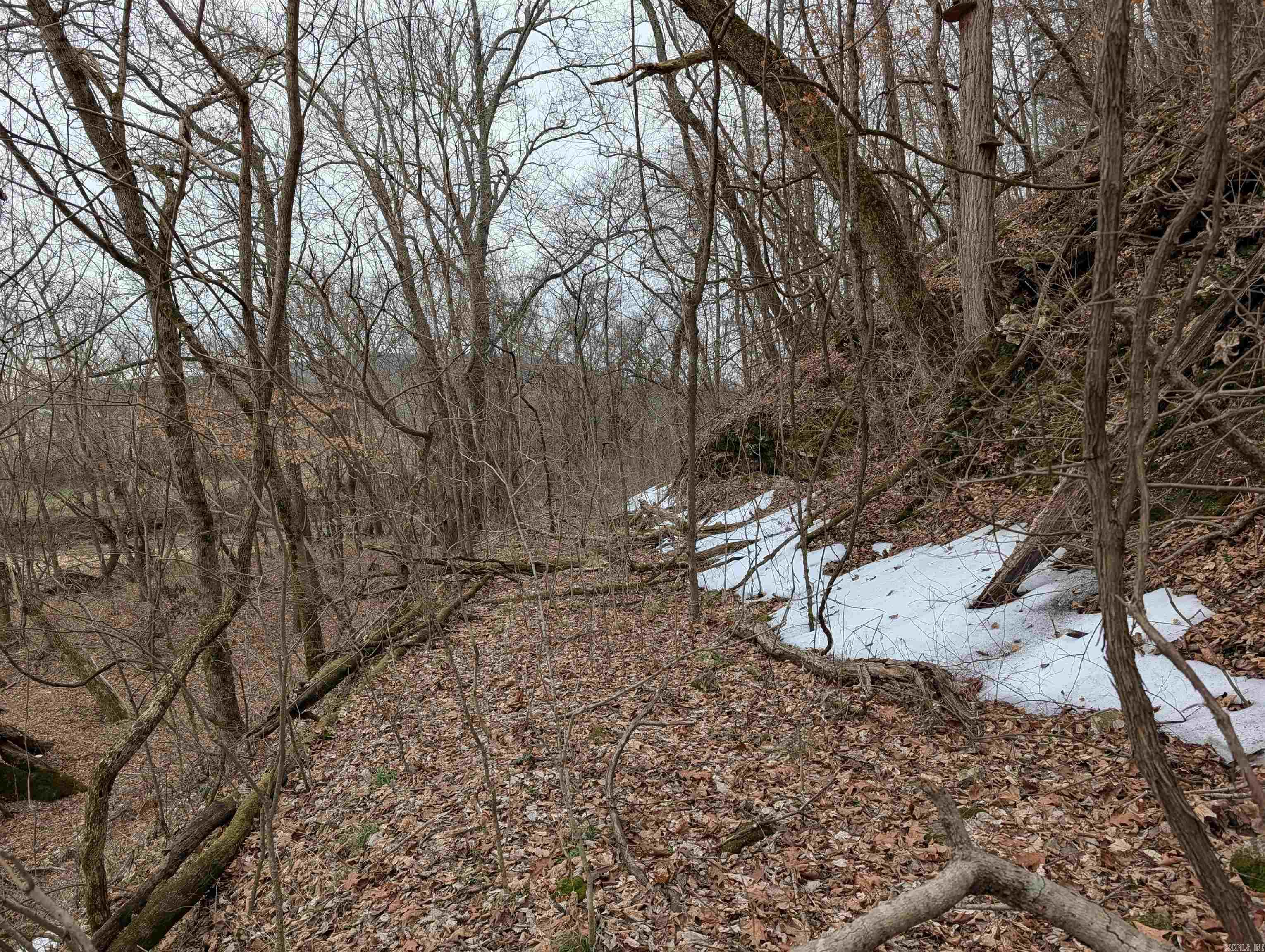 412 Hwy 412 Highway Property Photo 4