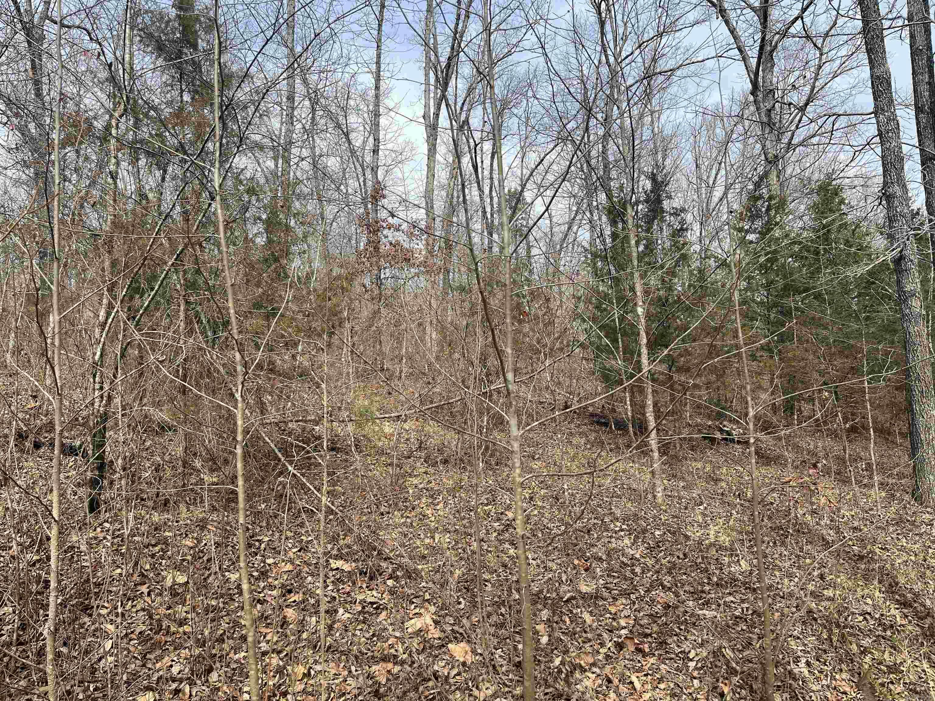 00 Endline Road Property Photo 1