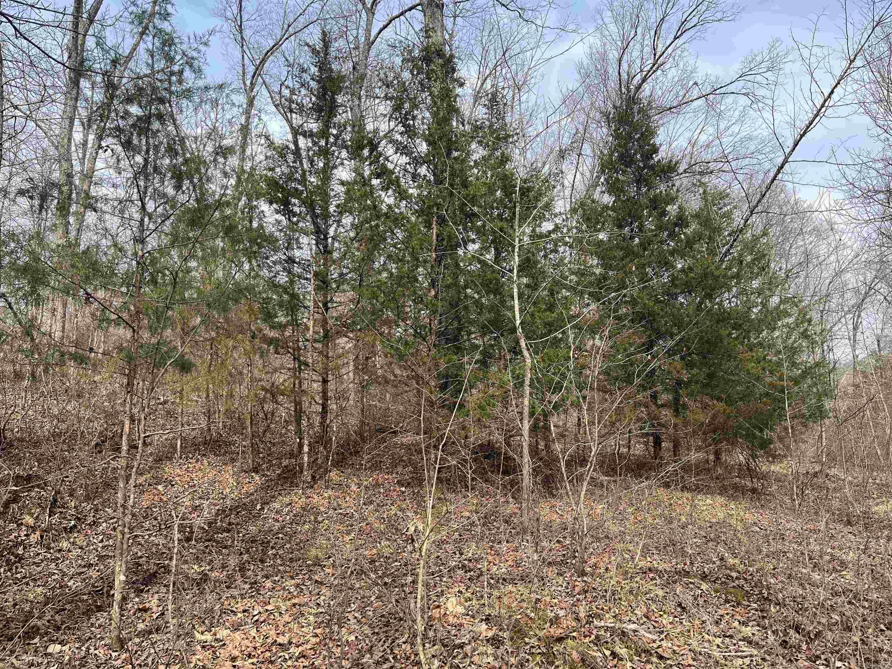 00 Endline Road Property Photo 2