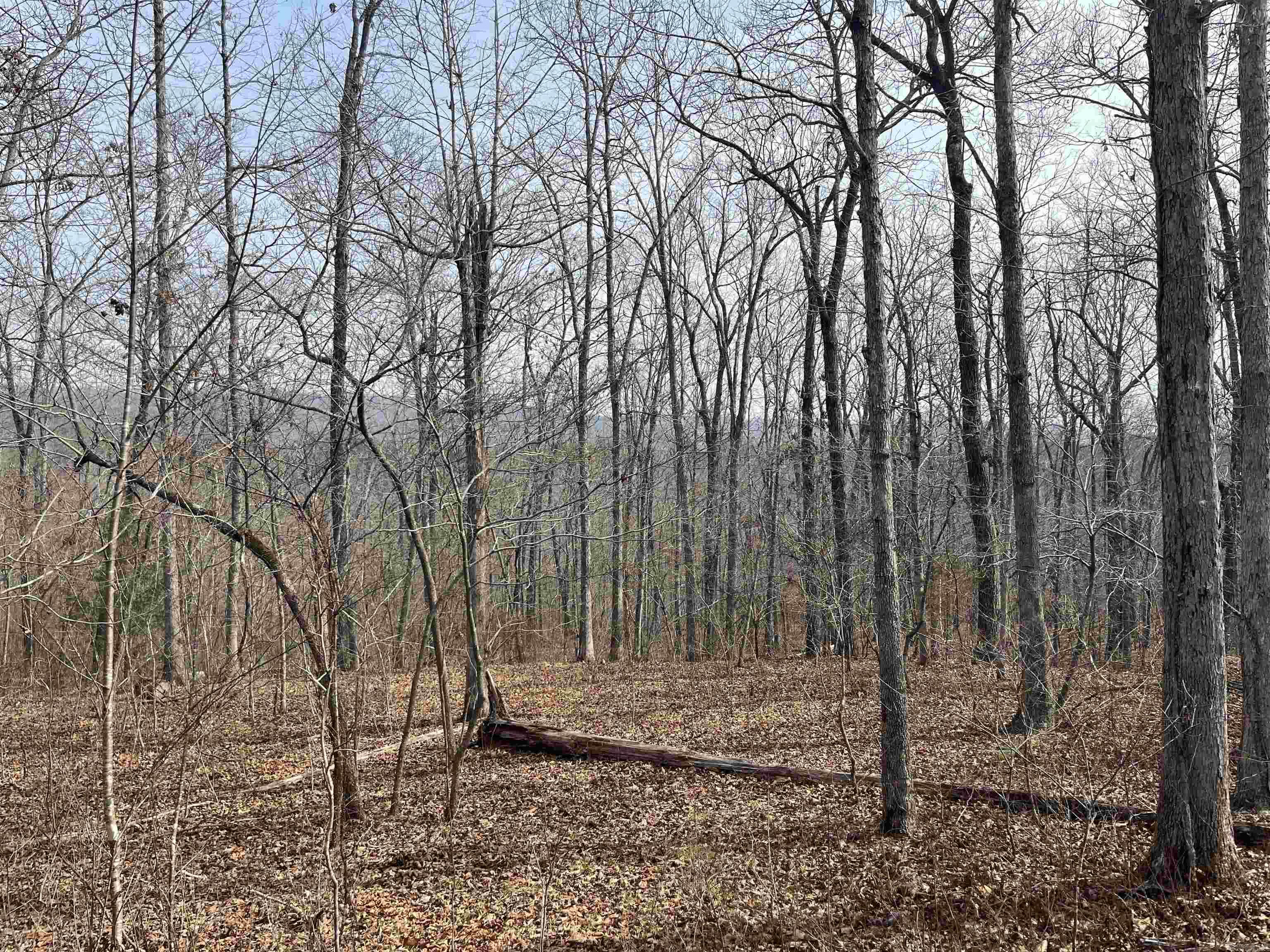 00 Endline Road Property Photo 3