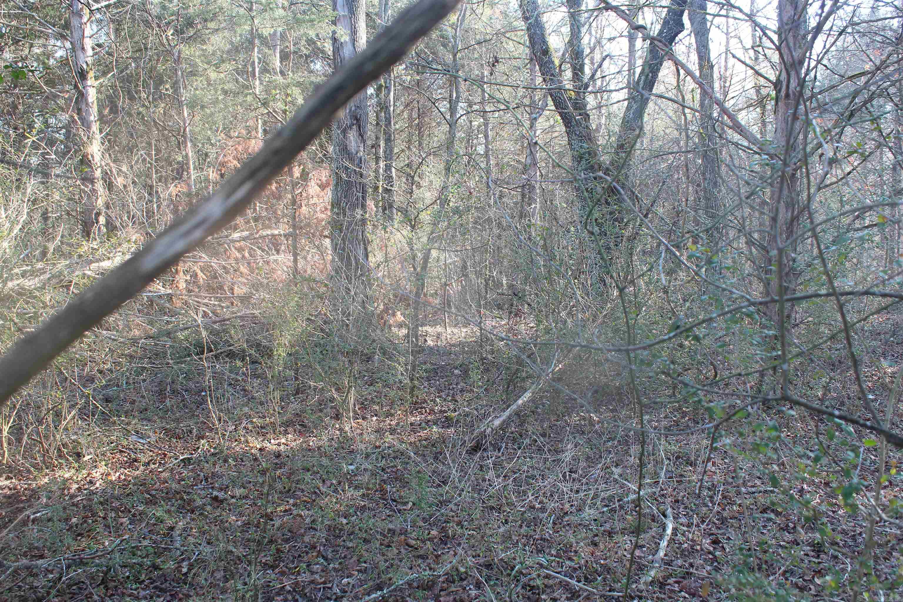 230 Ceder Creek Rd Property Photo 21