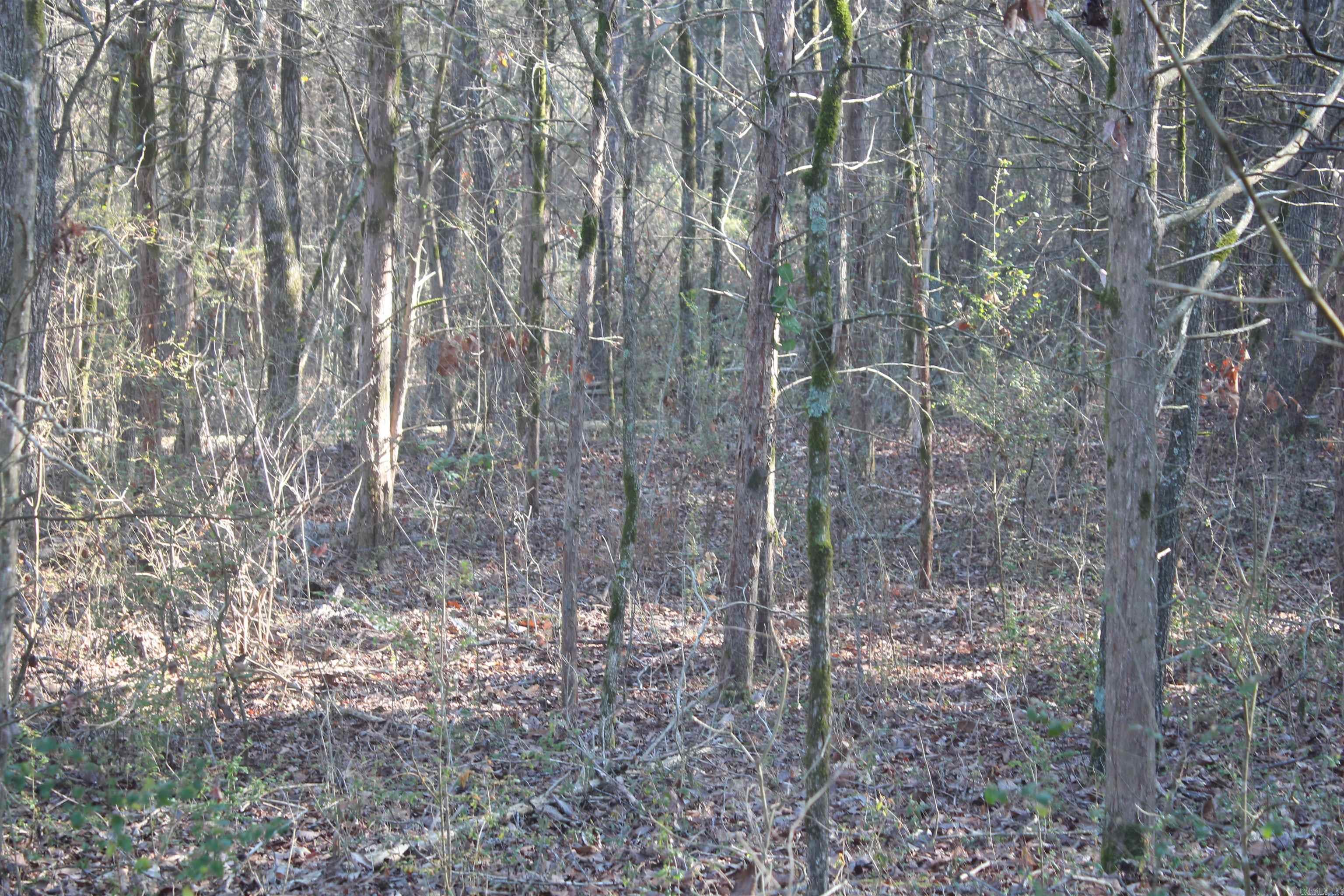 230 Ceder Creek Rd Property Photo 22