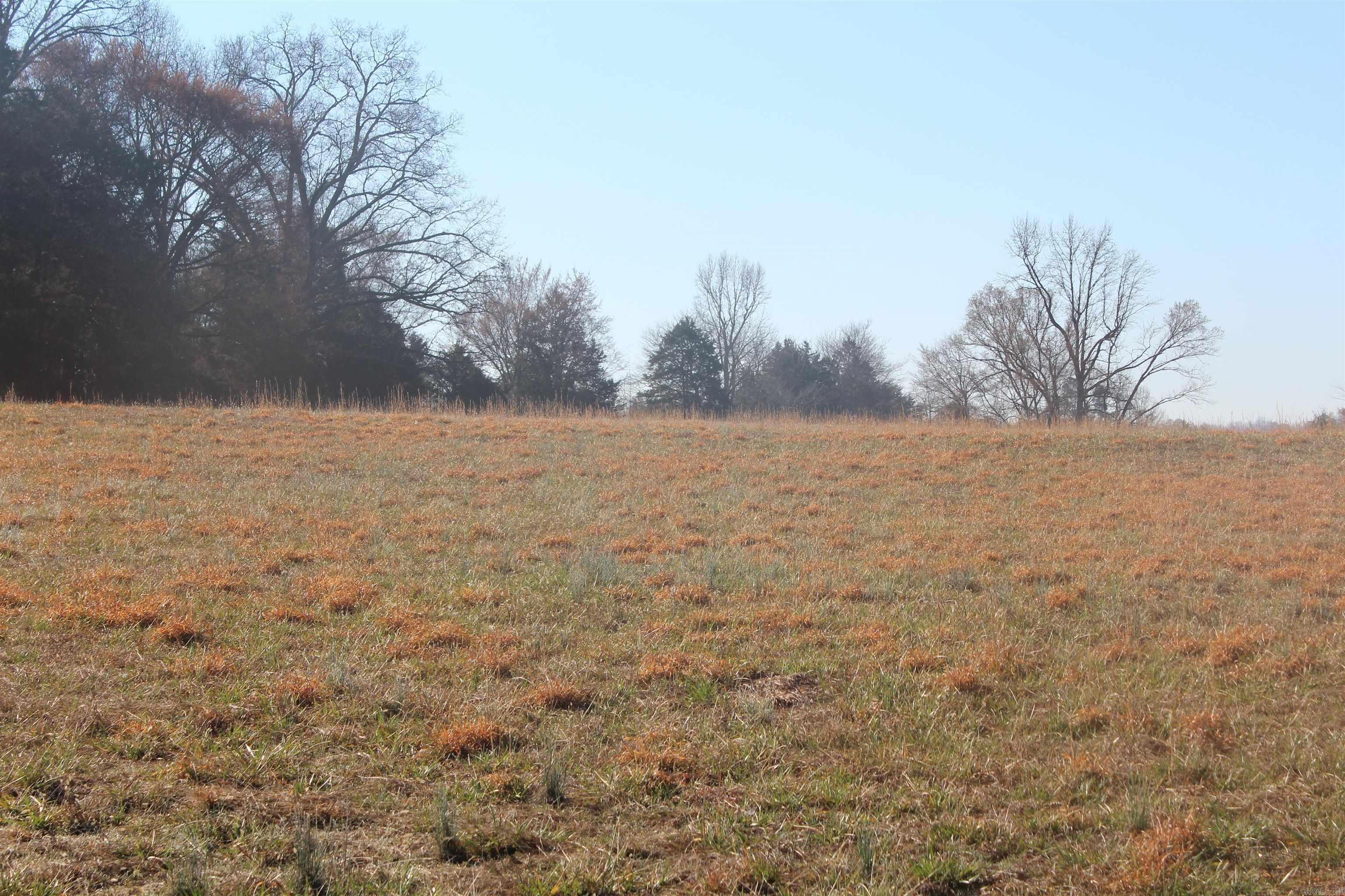 230 Ceder Creek Rd Property Photo 26