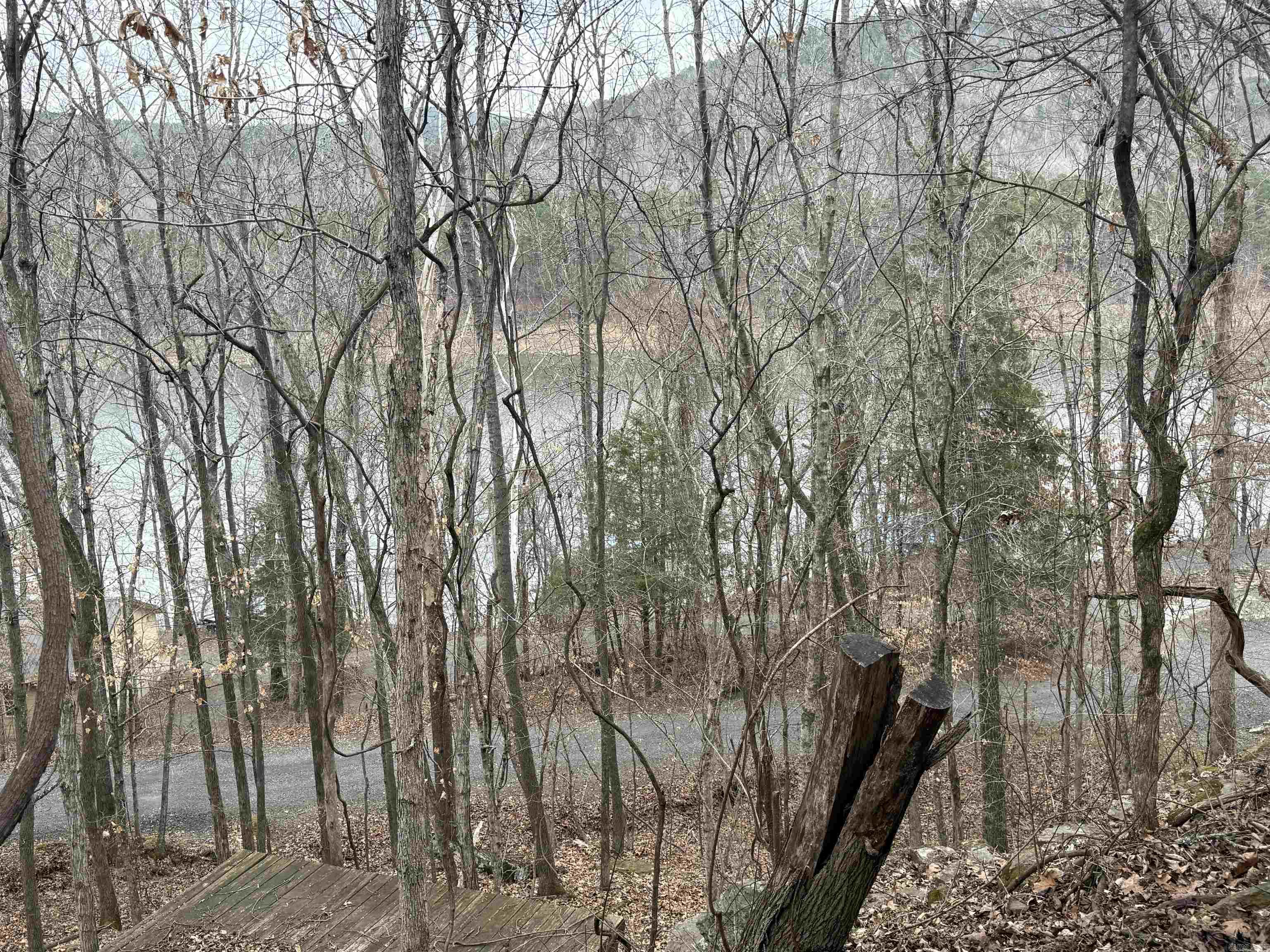 300 Canyon Property Photo 3