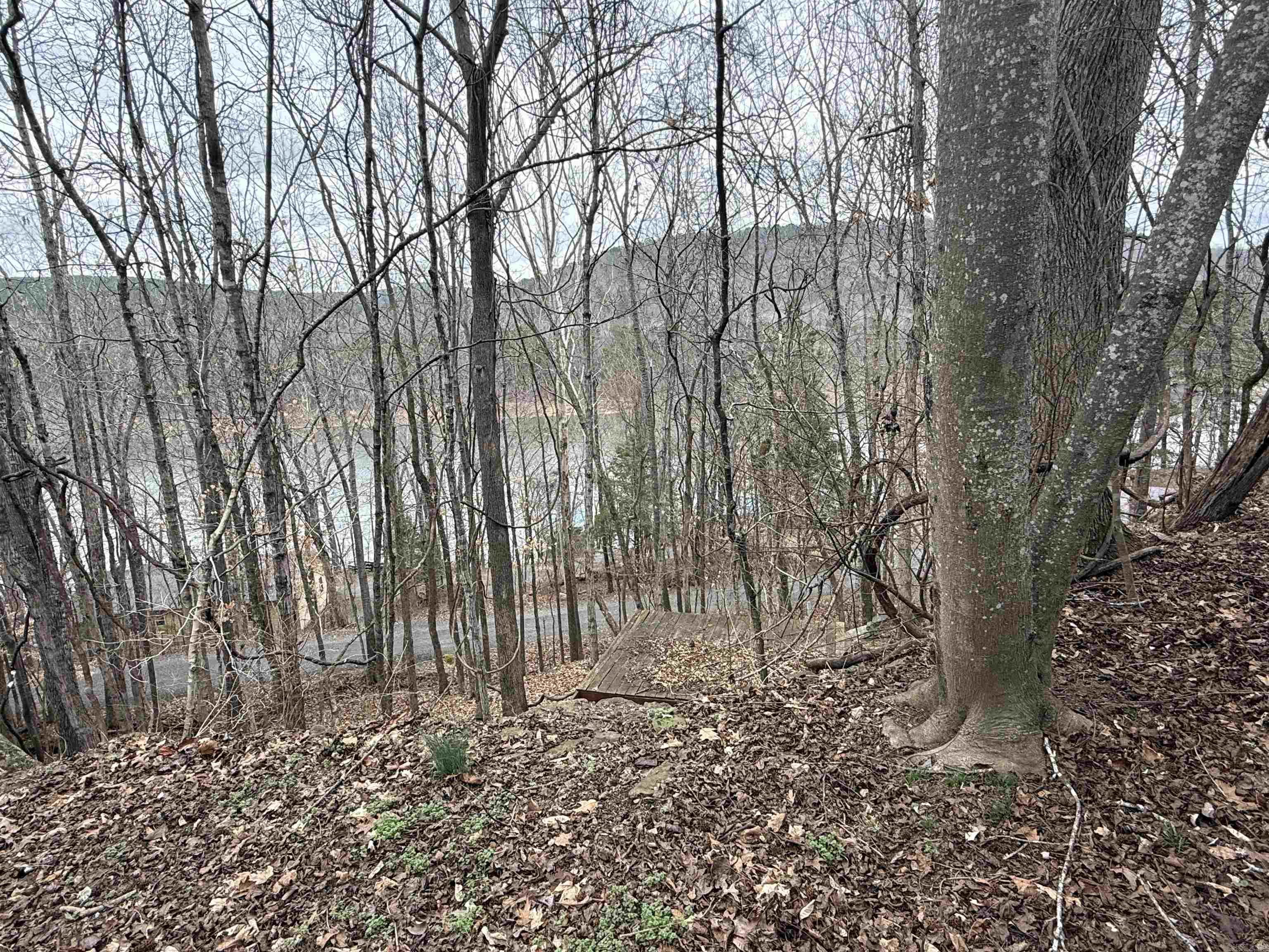 300 Canyon Property Photo 20
