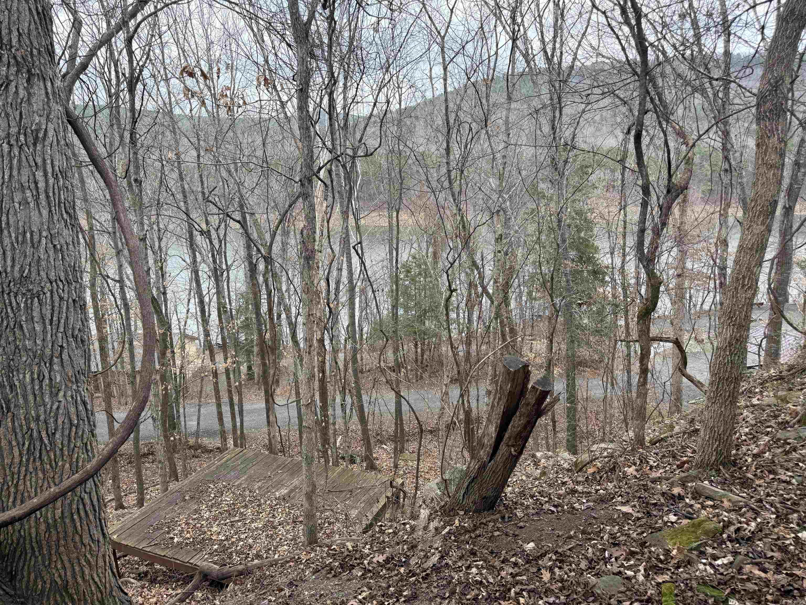 300 Canyon Property Photo 24