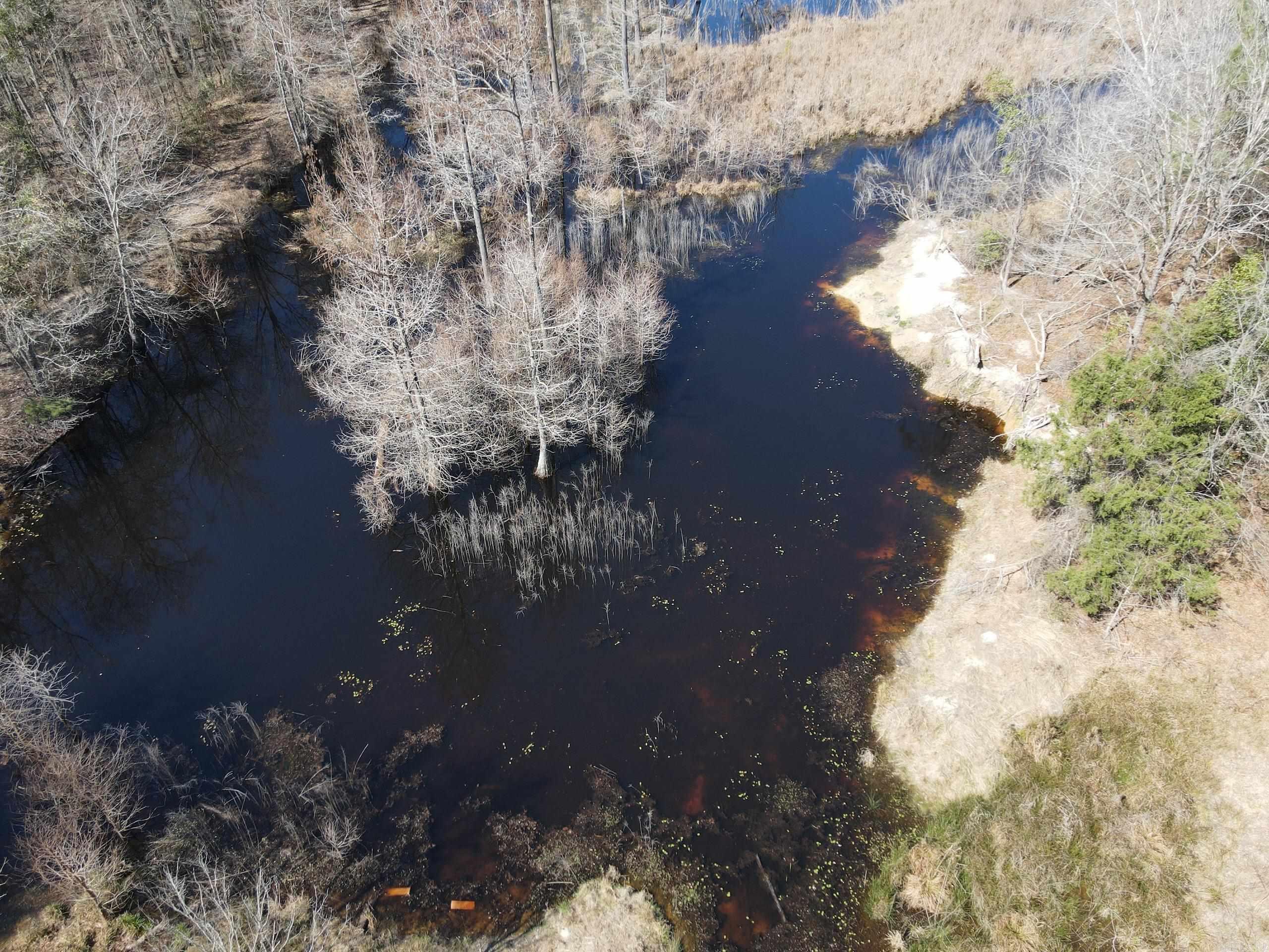 000 Lawson Rd Property Photo 5