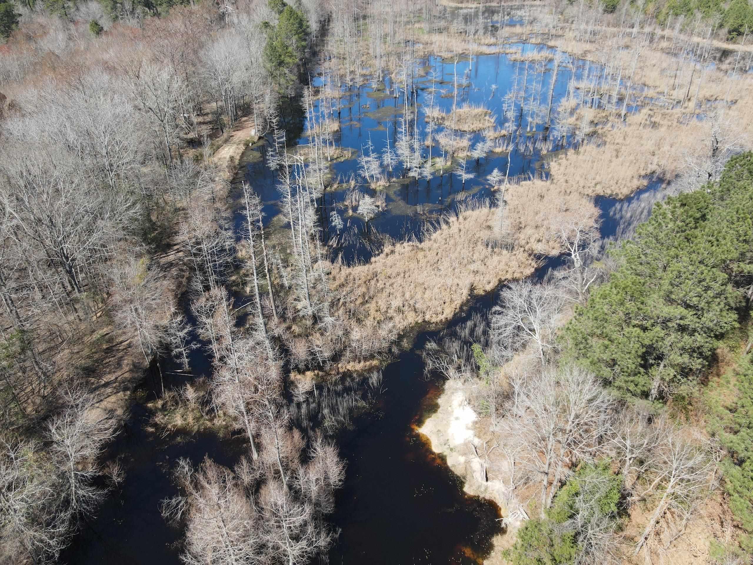 000 Lawson Rd Property Photo 6