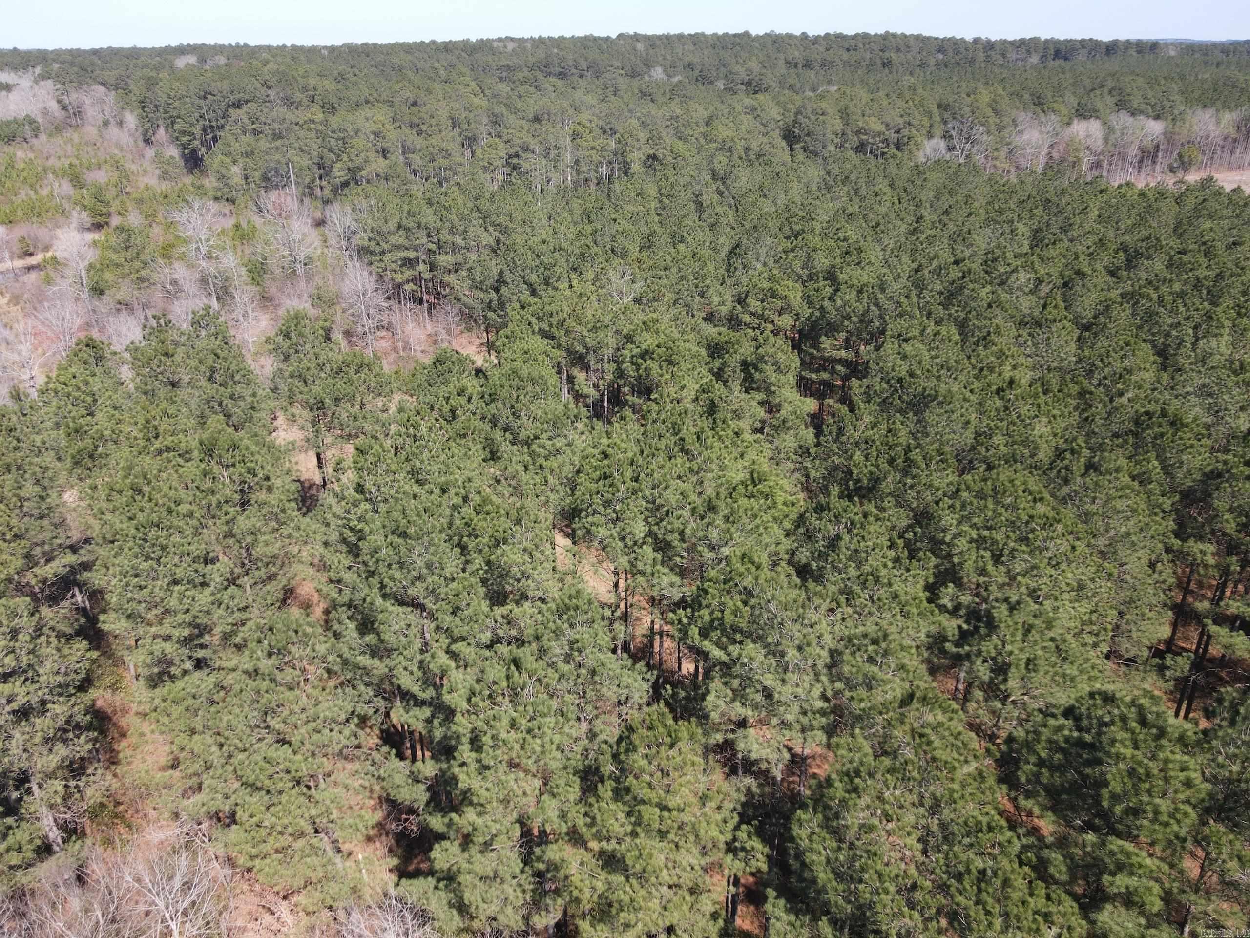 000 Lawson Rd Property Photo 8