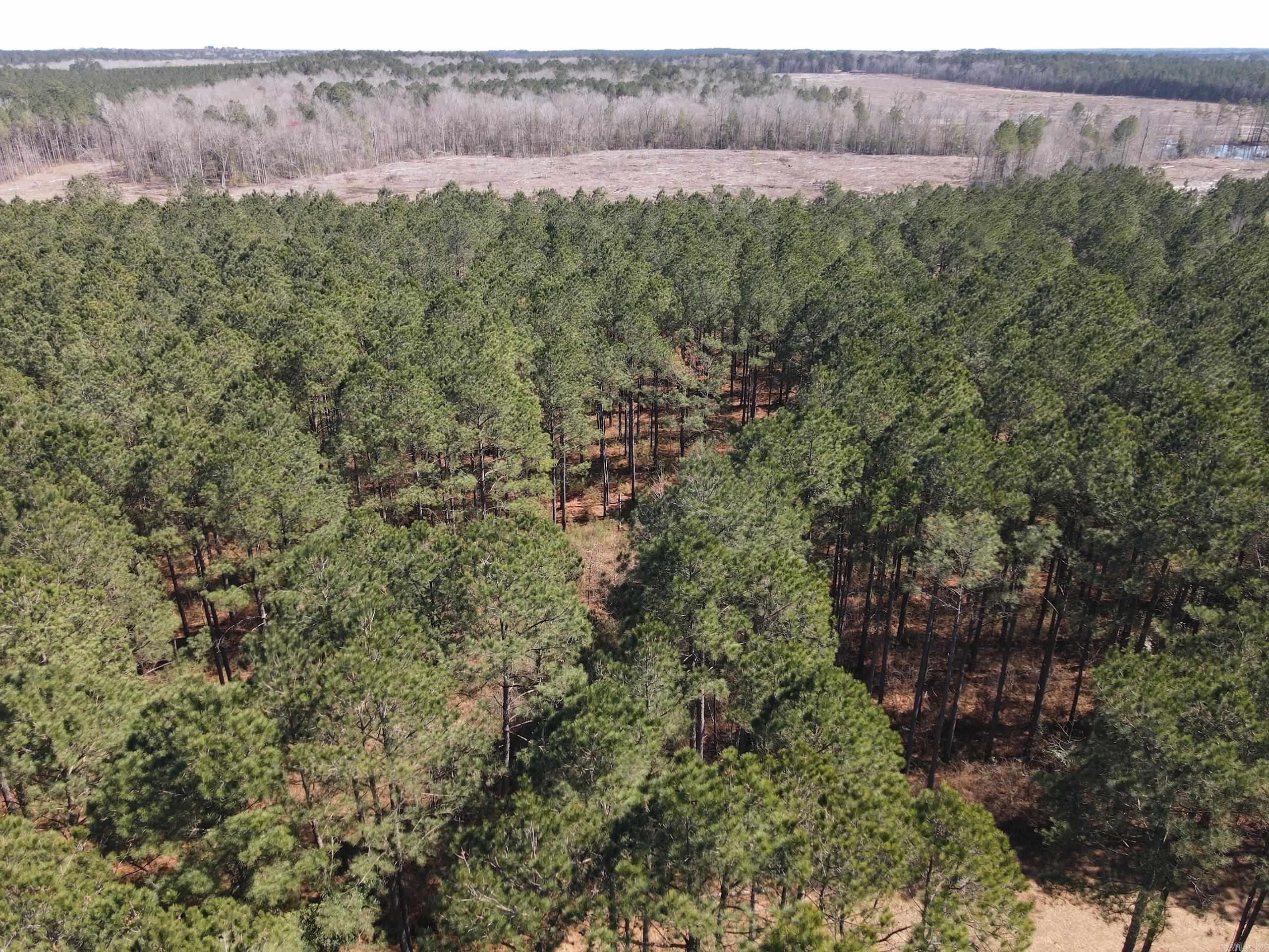000 Lawson Rd Property Photo 9