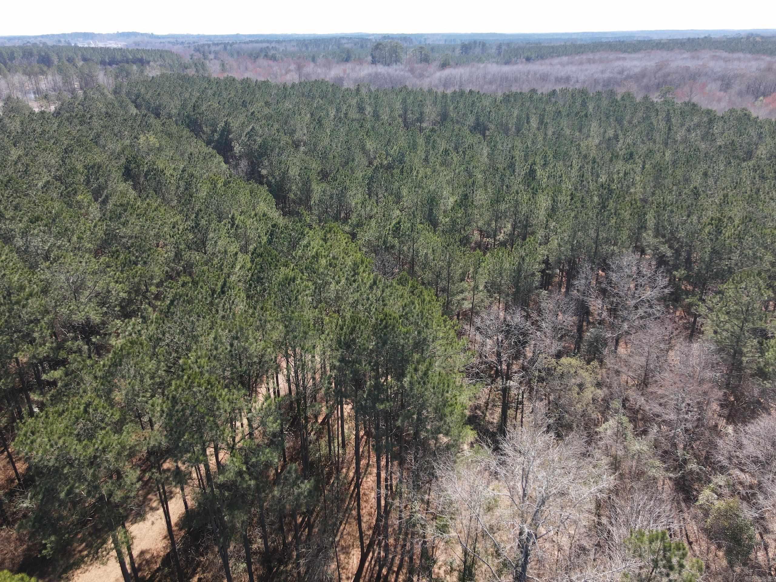 000 Lawson Rd Property Photo 10