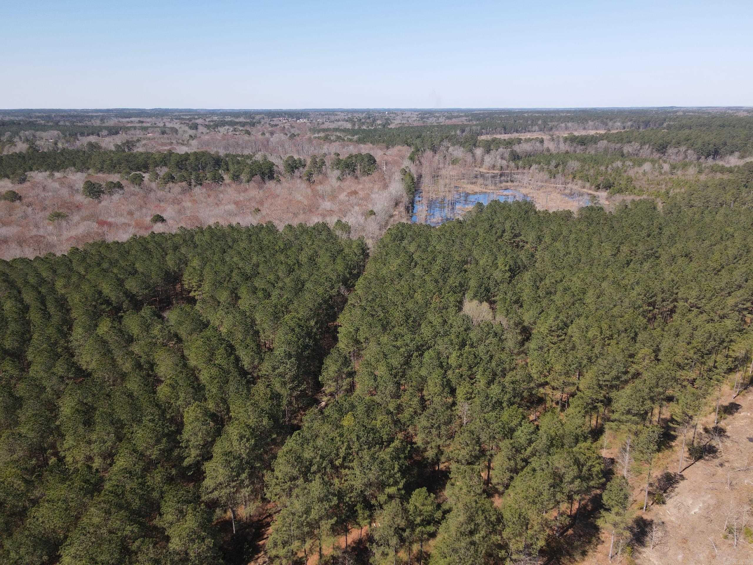 000 Lawson Rd Property Photo 11