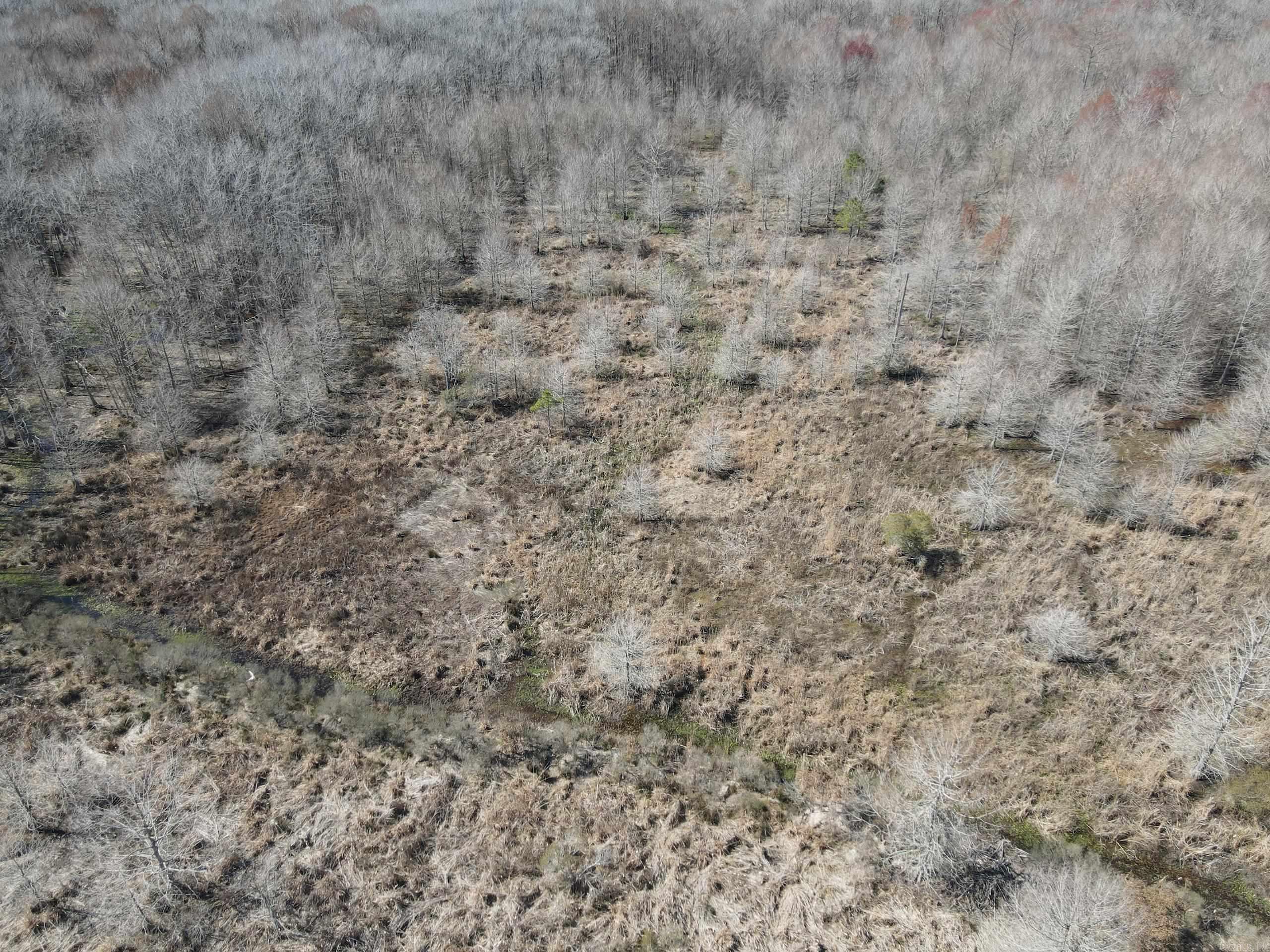 000 Lawson Rd Property Photo 17