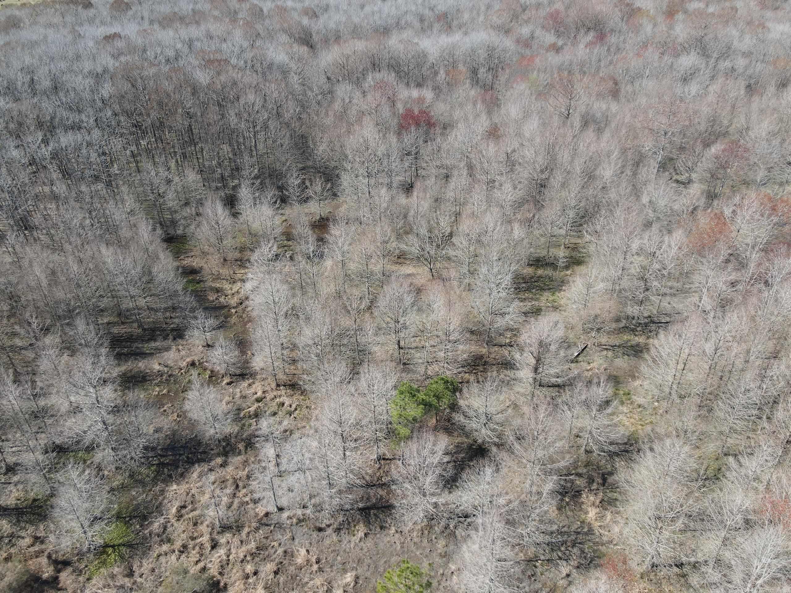 000 Lawson Rd Property Photo 18