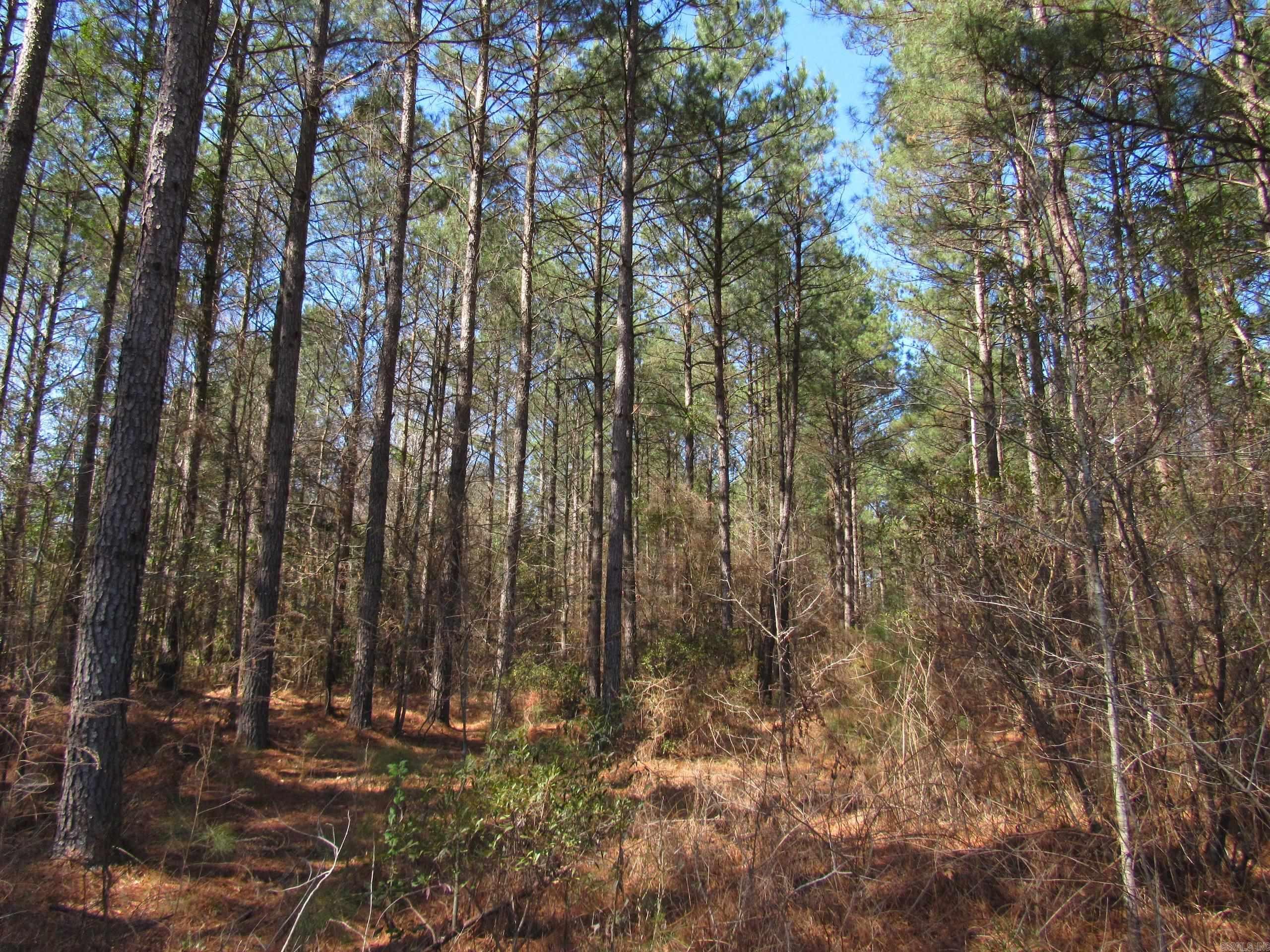 000 Lawson Rd Property Photo 25